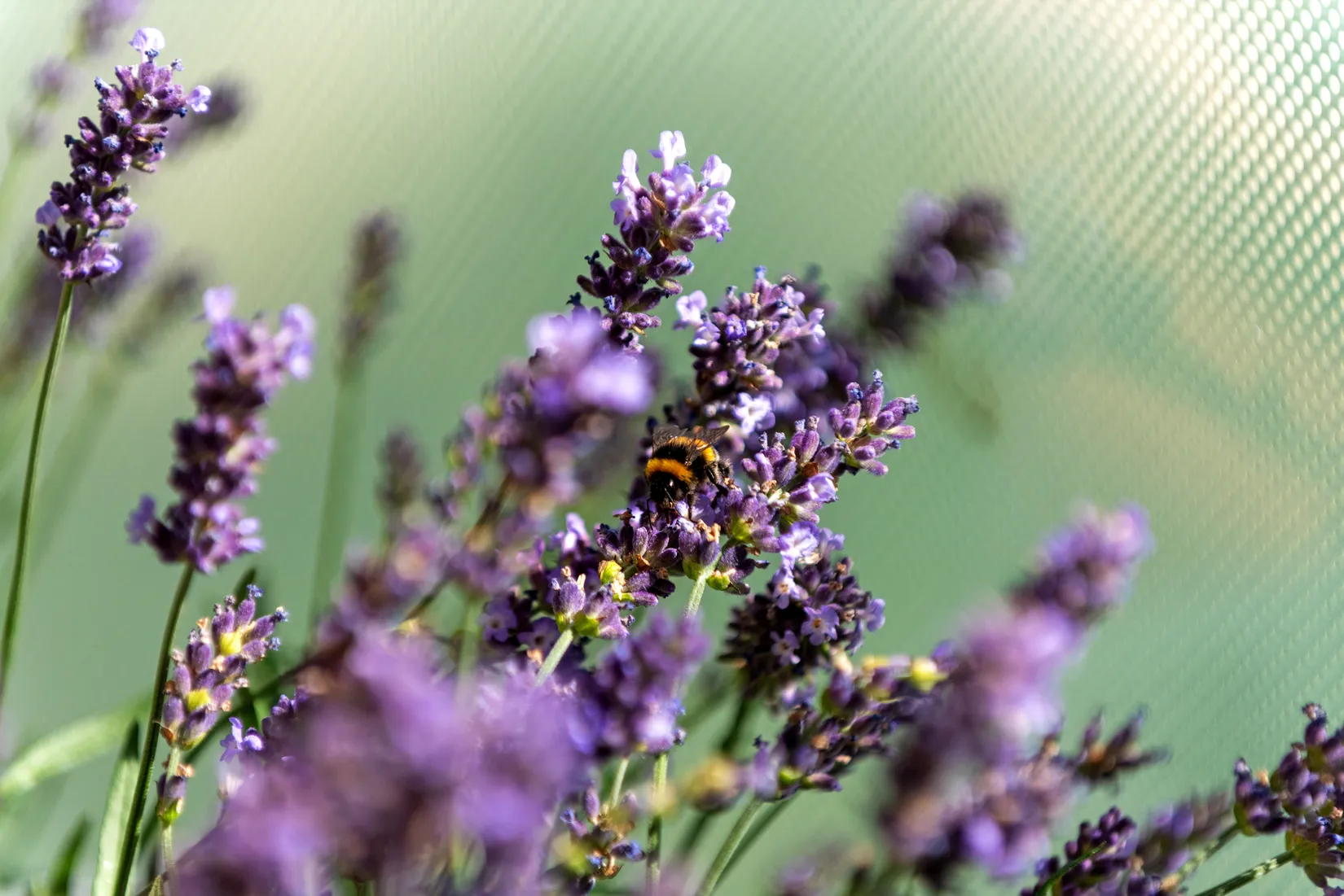 Bostadsrätt, Sockenvägen 613, Bagarmossen, Stockholm