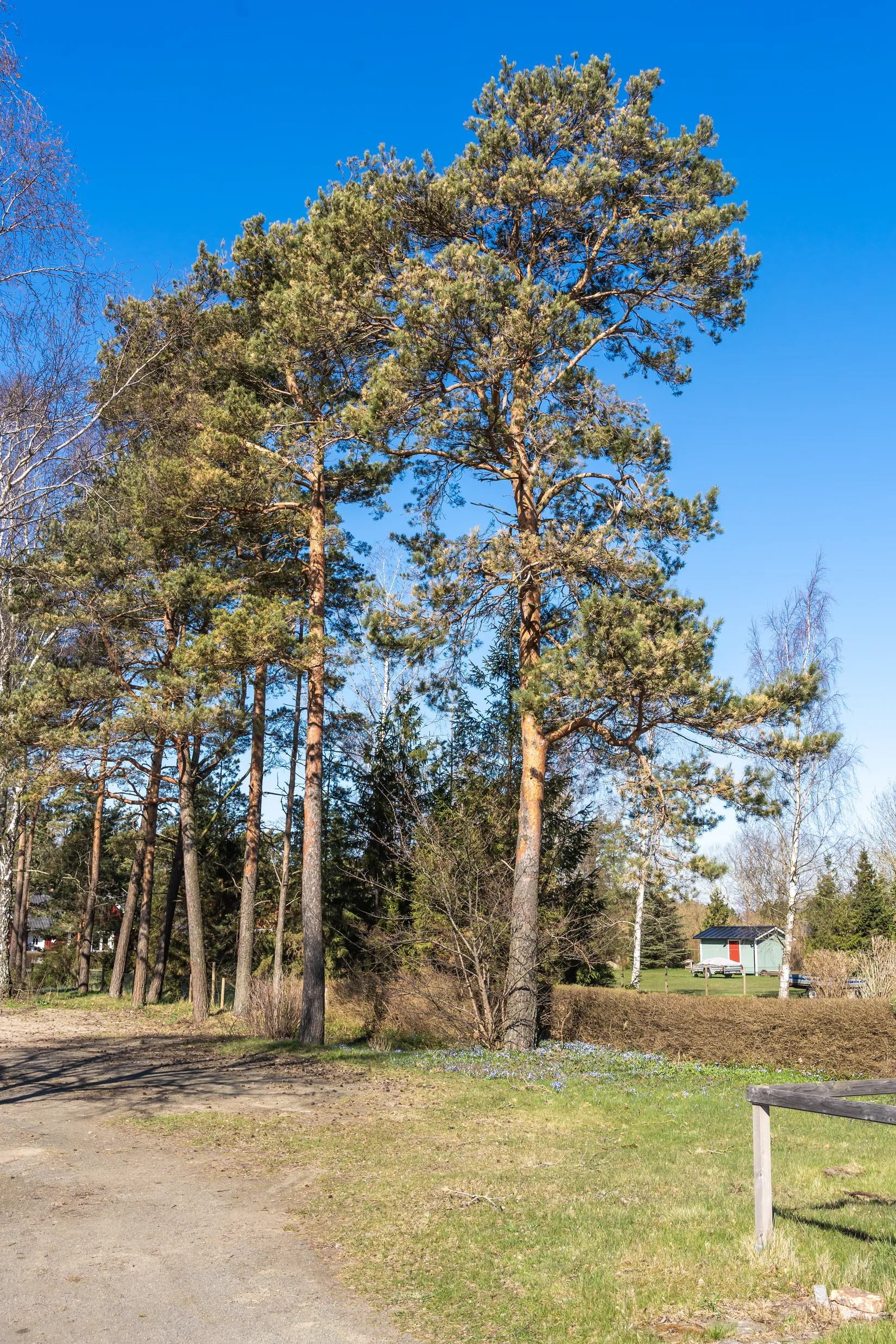 Villa, Hornavägen 670, Kristianstad