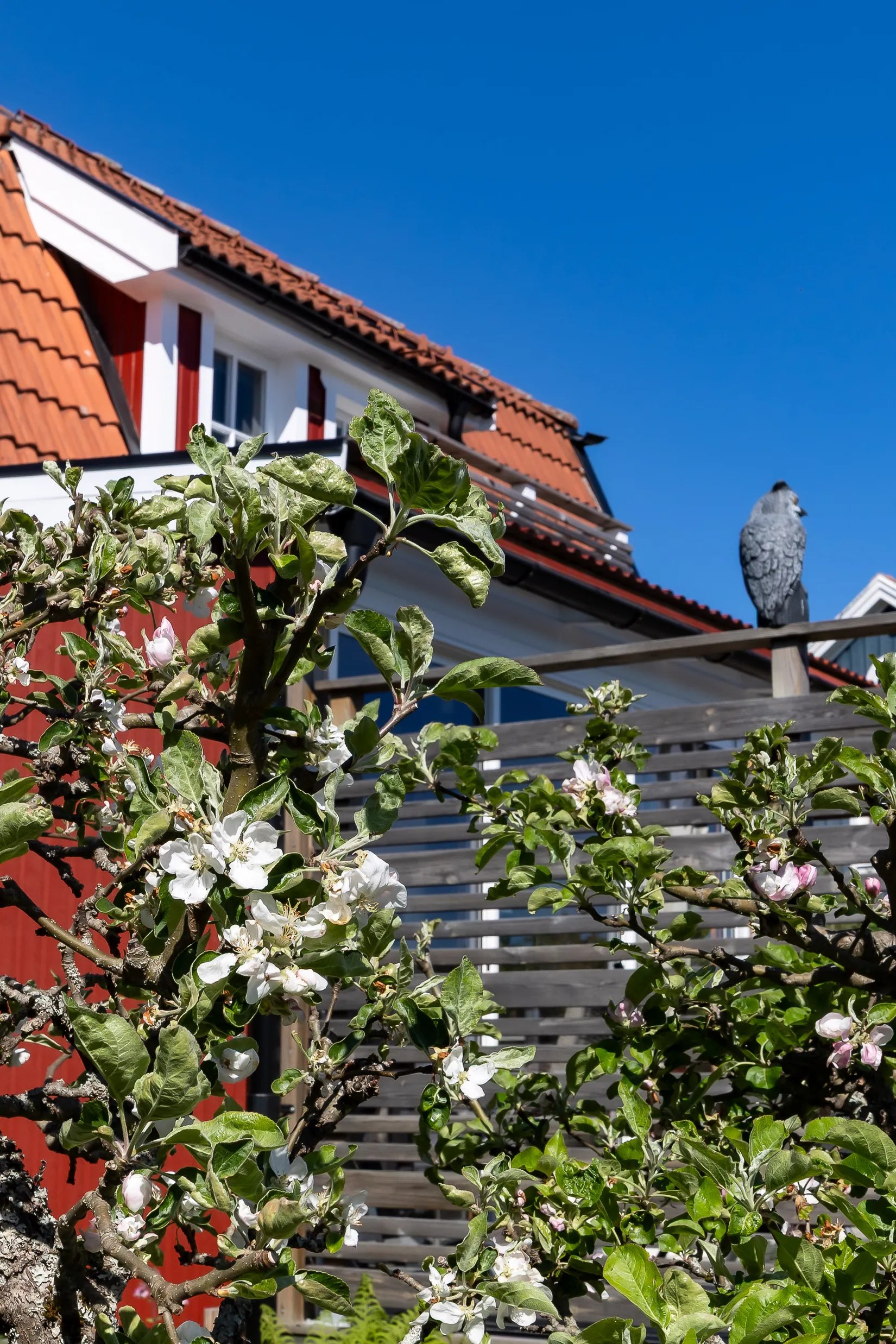 Villa, Rådmansgatan 4, Lindesberg