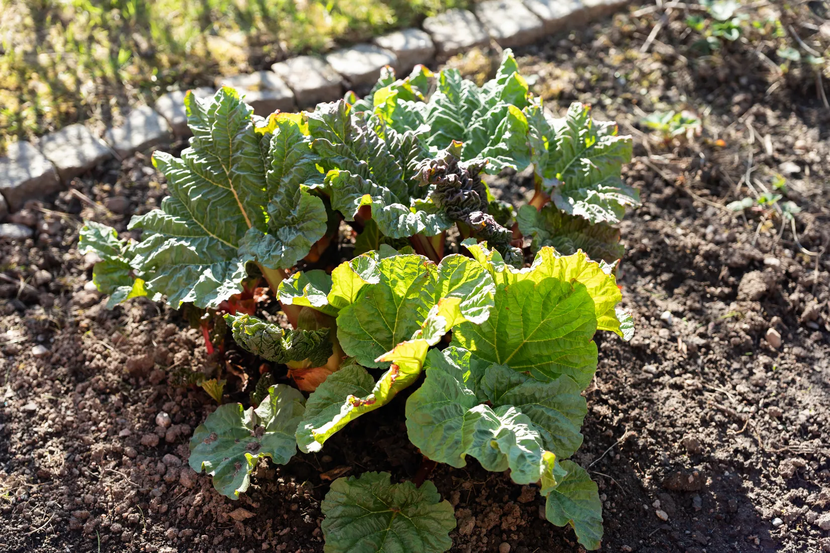 Villa, Radhus, Tvetgatan 27, Tveten, Kungälv