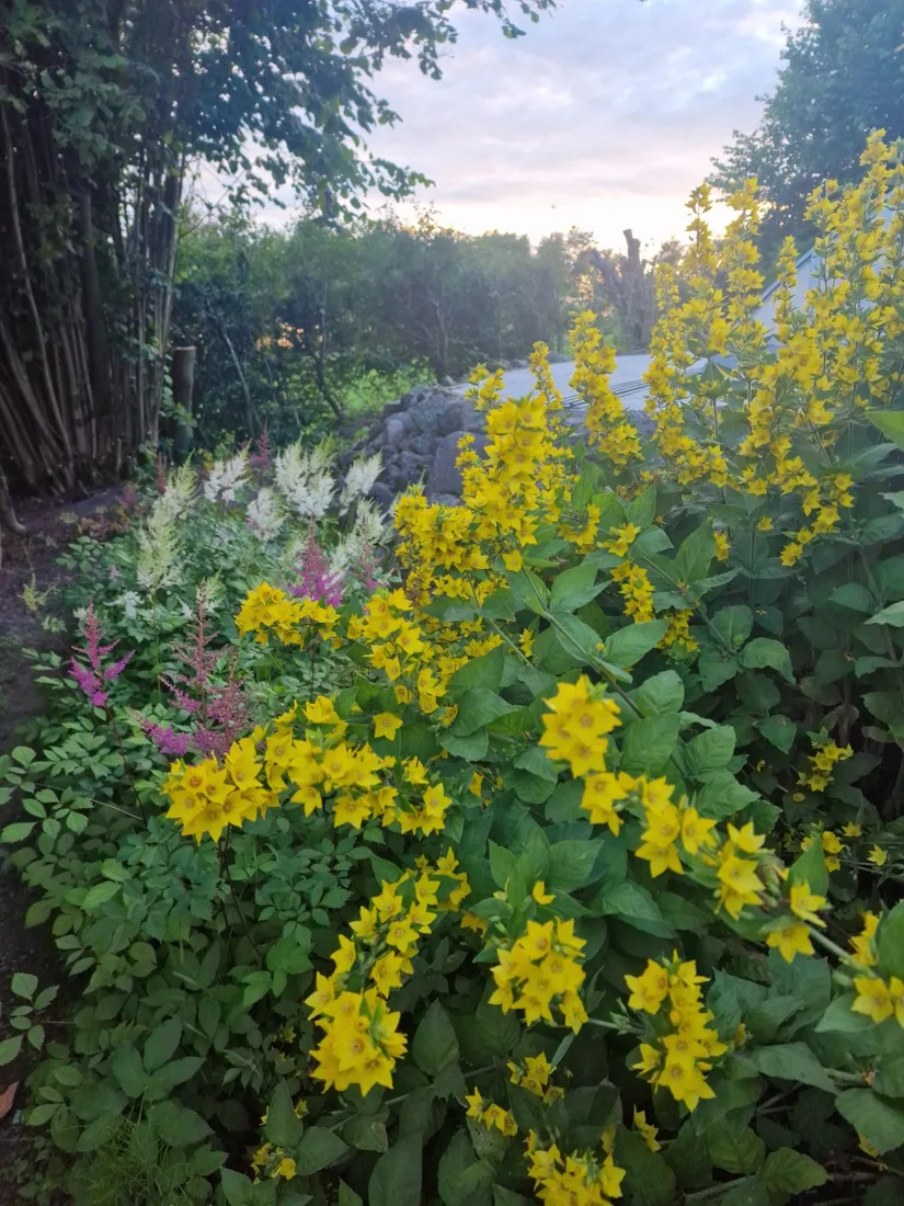 Villa, Tängelsås 1502, Eslöv