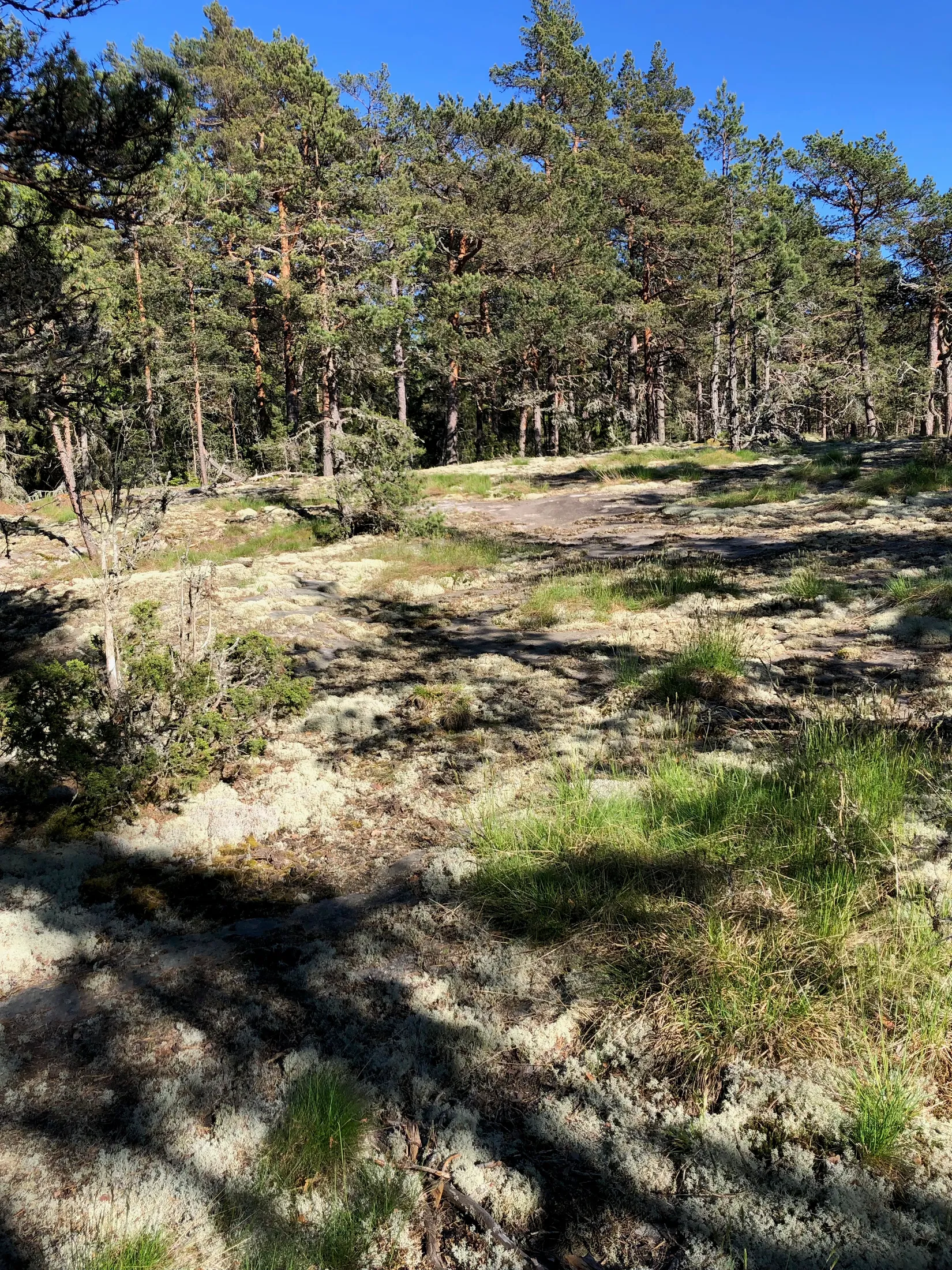 Gård/Skog, Tranviksvägen, Djurö - Vindö, Värmdö