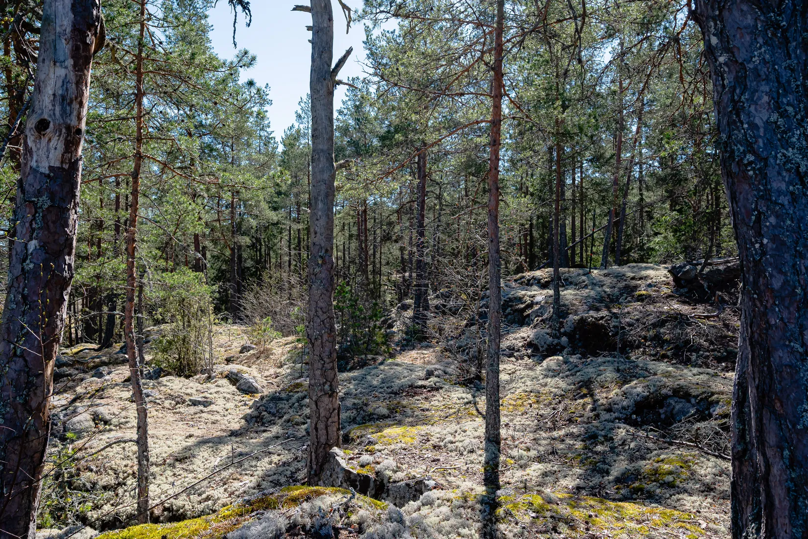 Villa, Gillbergsvik Havsvik, Gillbergsvik, Trosa