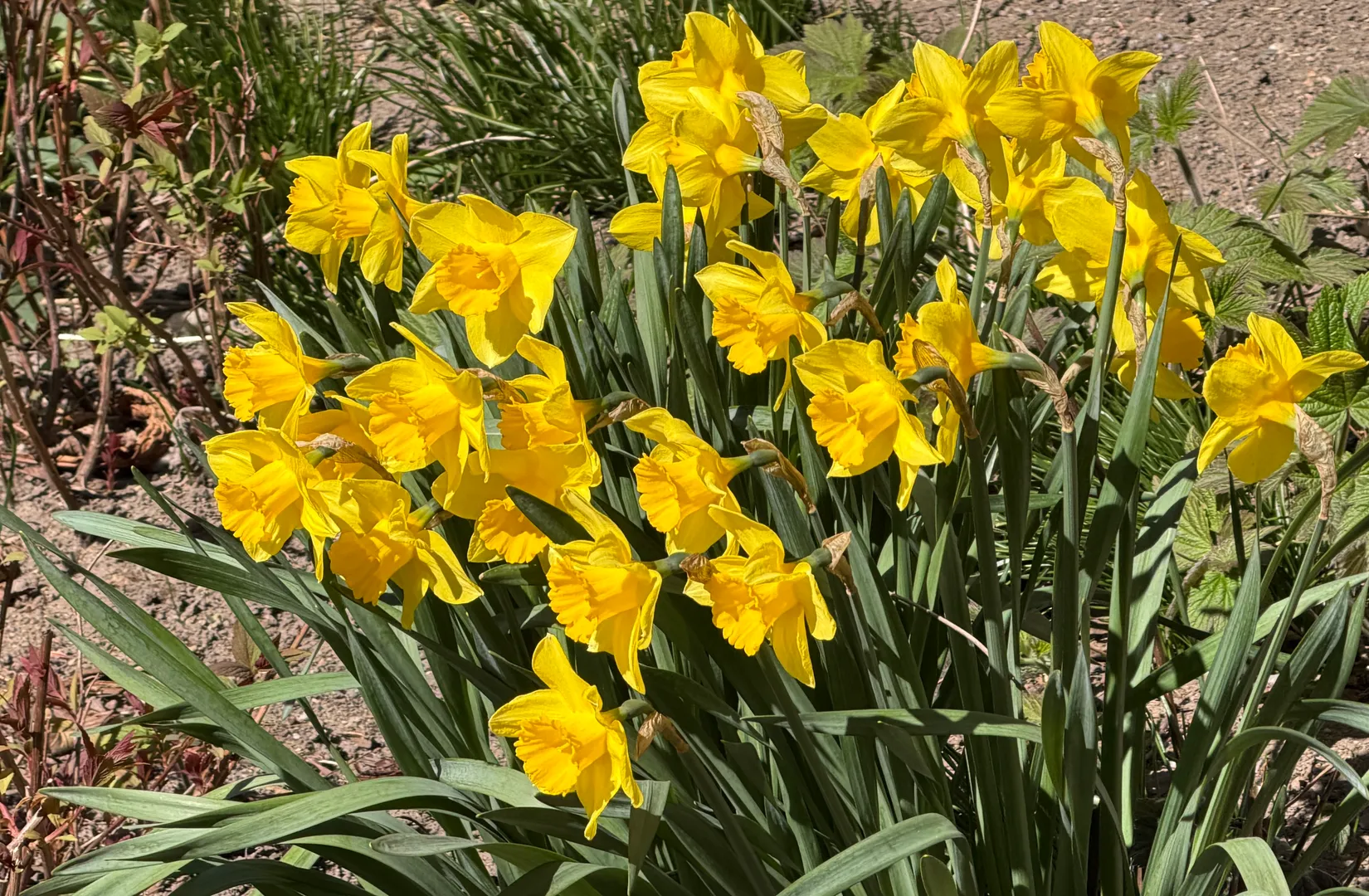Bostadsrätt, Tredalagatan 17C, Östermalm, Kristianstad