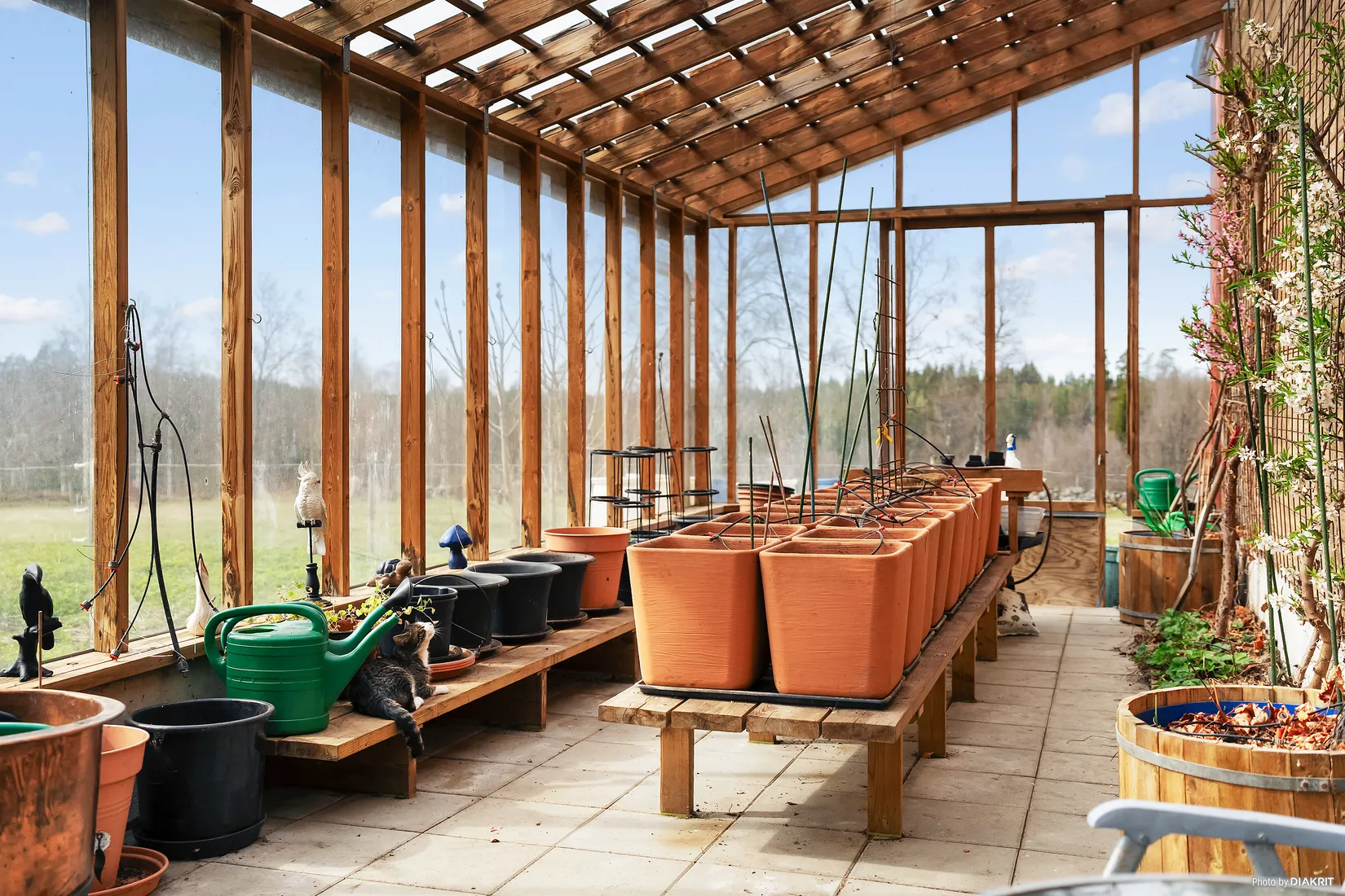 Gård/Skog, Nårunga Skanterna 1, Nårunga, Vårgårda