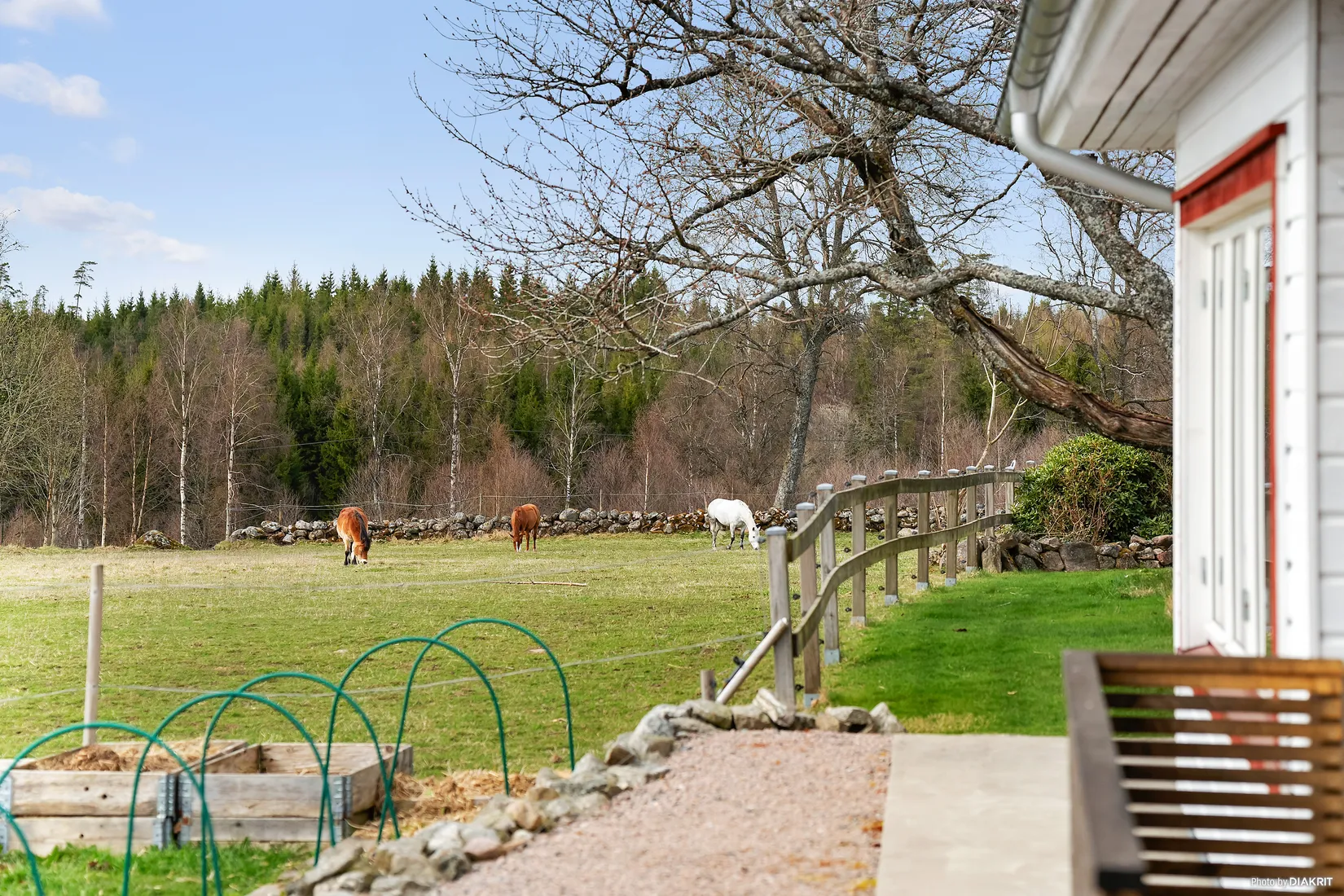 Gård/Skog, Nårunga Skanterna 1, Nårunga, Vårgårda
