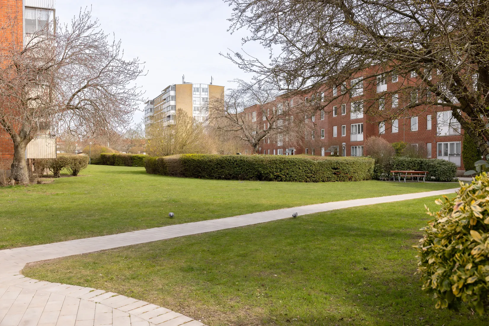 Bostadsrätt, Lorensborgsgatan 7C, Lorensborg, Malmö