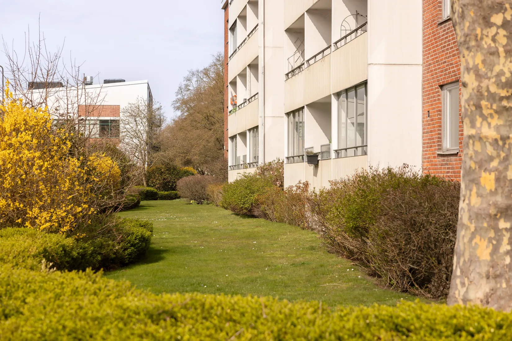 Bostadsrätt, Lorensborgsgatan 7C, Lorensborg, Malmö