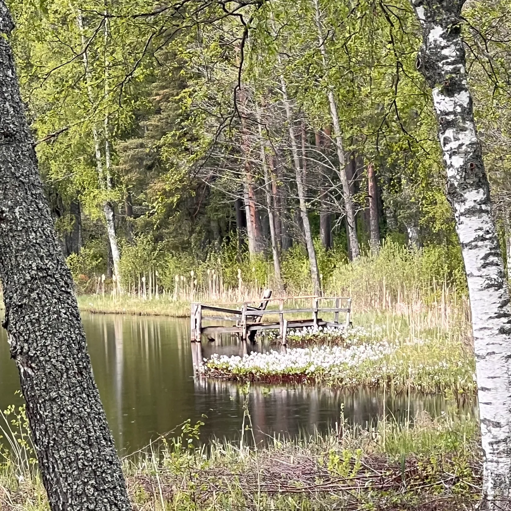 Villa, Parkvägen 6, Forshaga