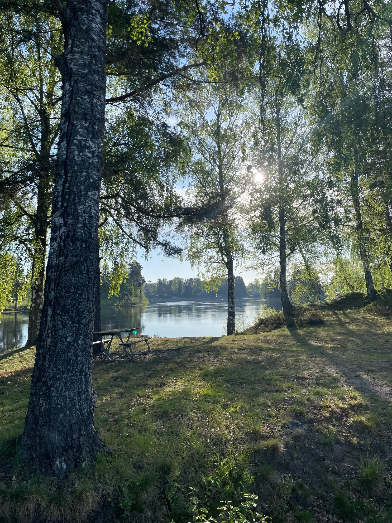 Villa, Parkvägen 6, Forshaga