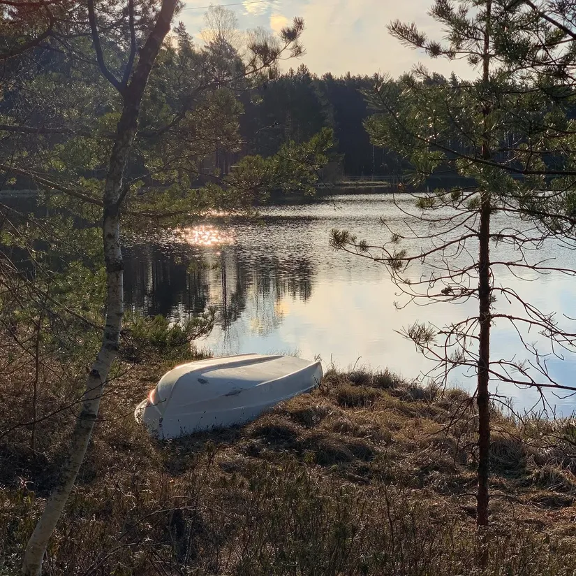 Villa, Parkvägen 6, Forshaga