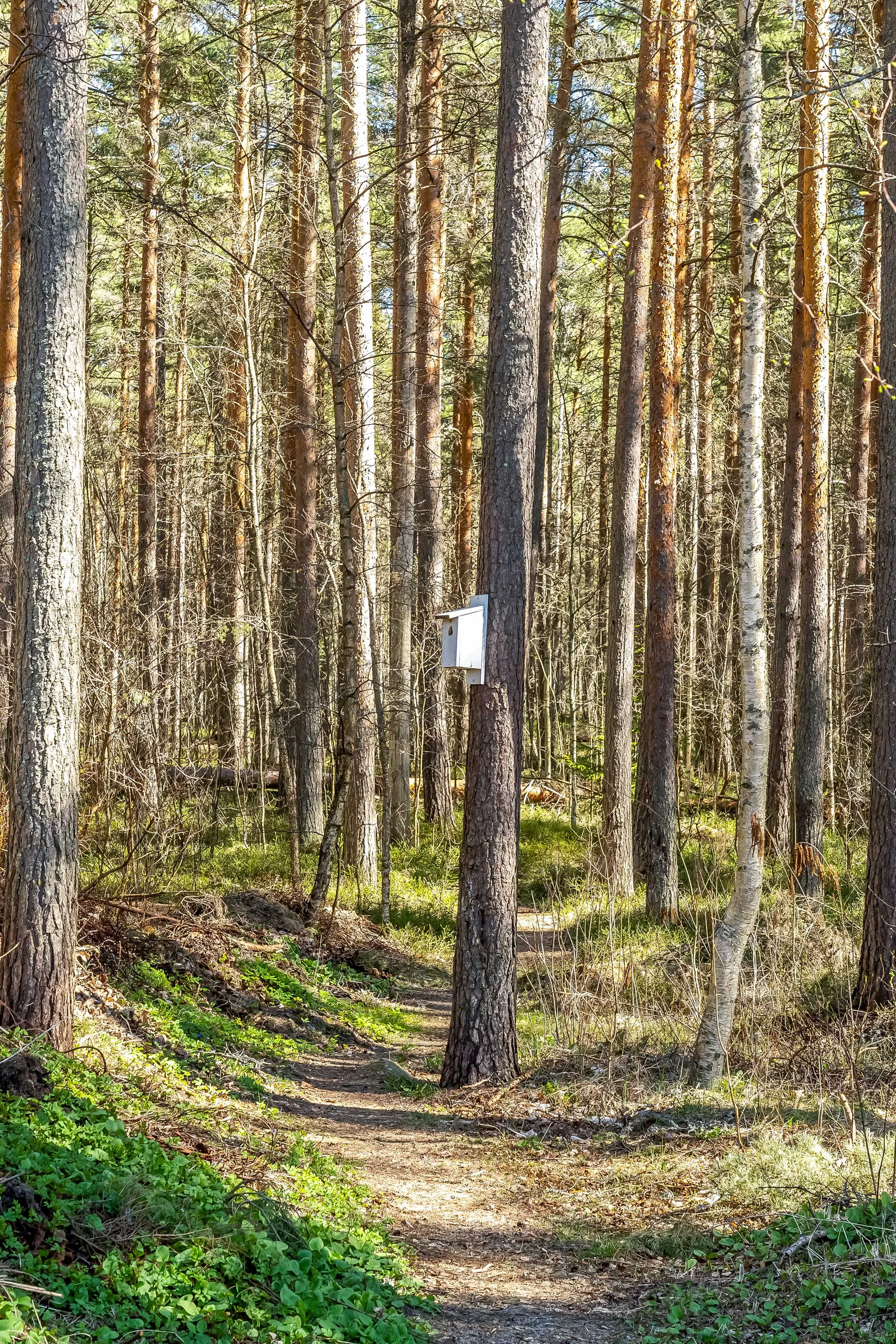 Villa, Radhus, Orrholmsvägen 23C, Källviken, Falun