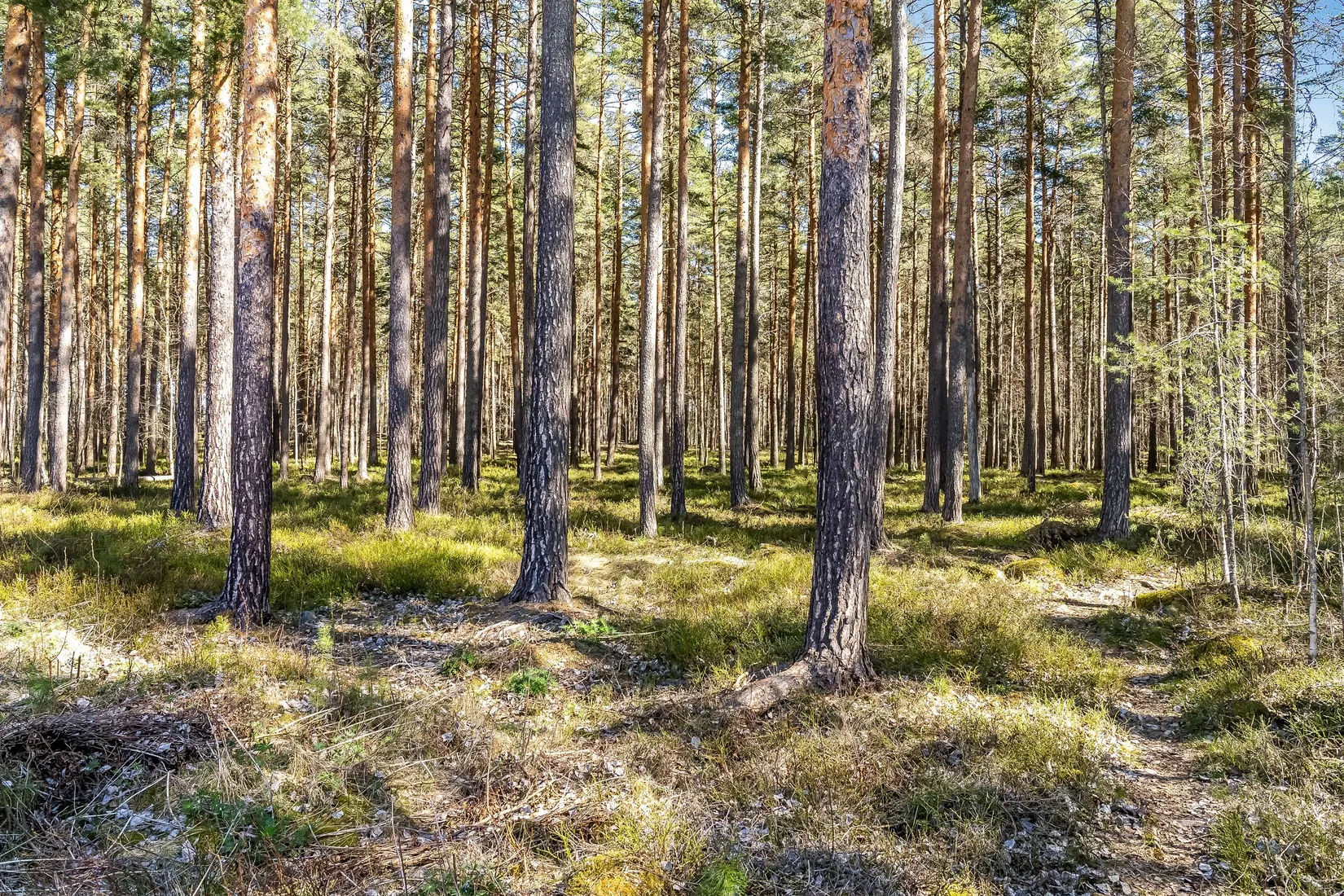 Villa, Radhus, Orrholmsvägen 23C, Källviken, Falun