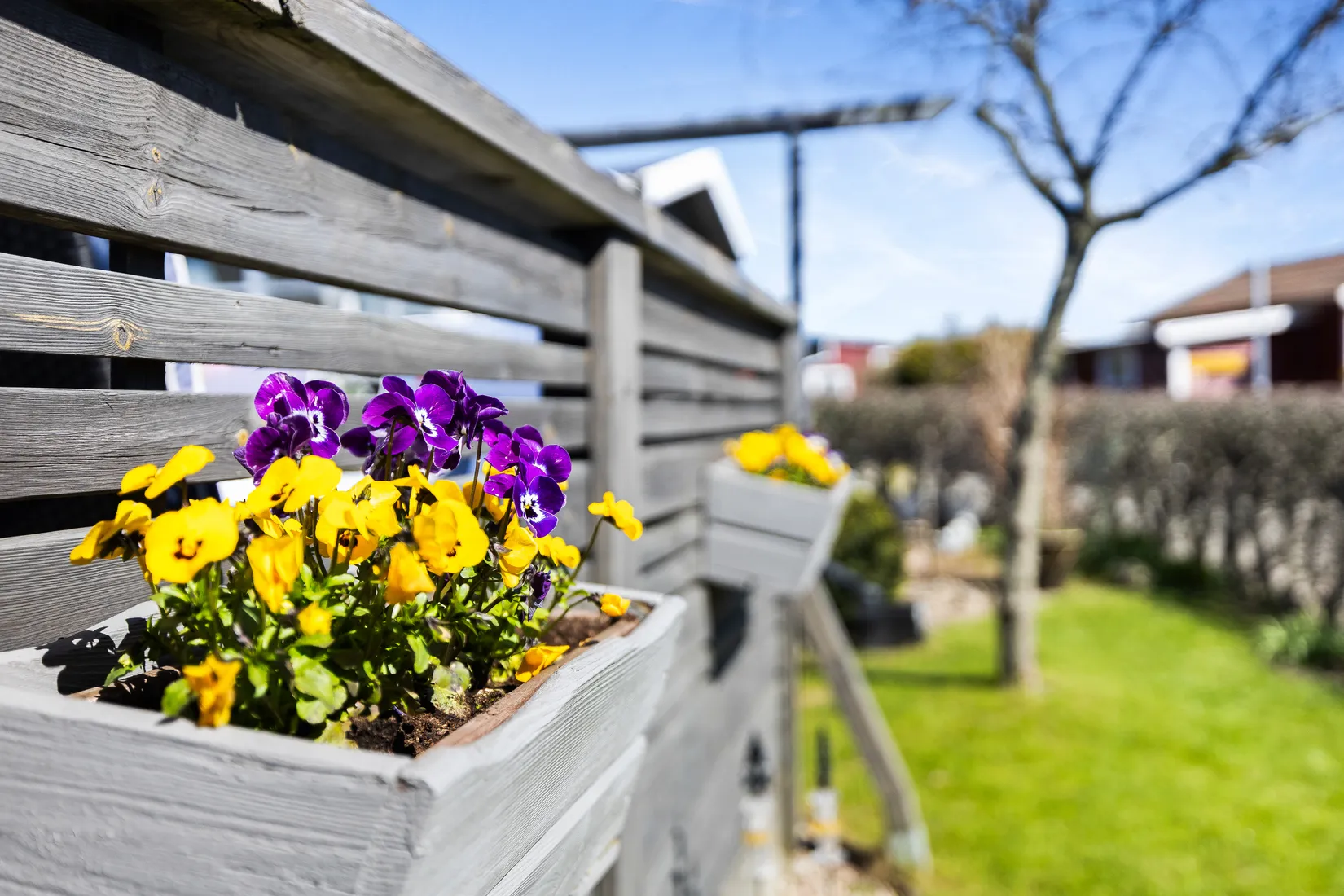 Fritidshus, Tagetesgången 71, Östra Sommarstadens Koloniområde, Ystad