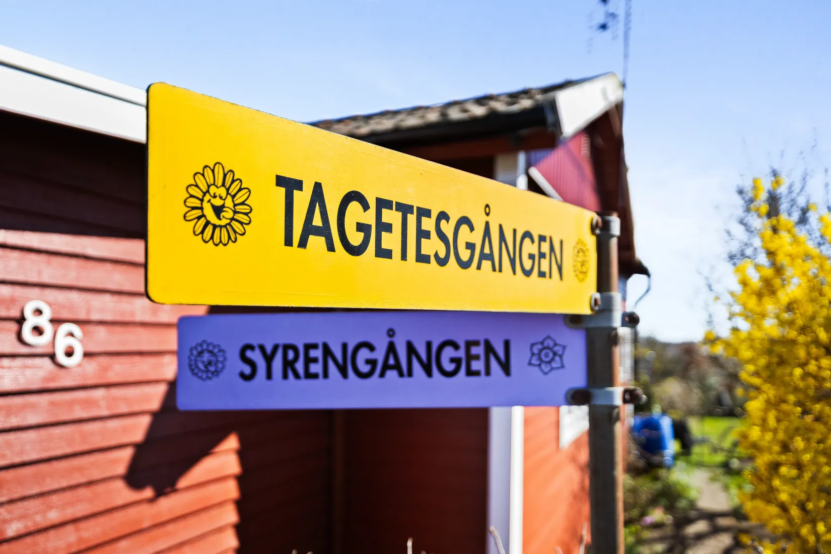 Fritidshus, Tagetesgången 71, Östra Sommarstadens Koloniområde, Ystad