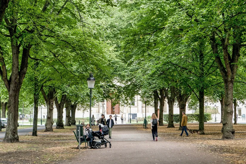 Bostadsrätt, Celsiusgatan 13B, Rörsjöstaden, Malmö