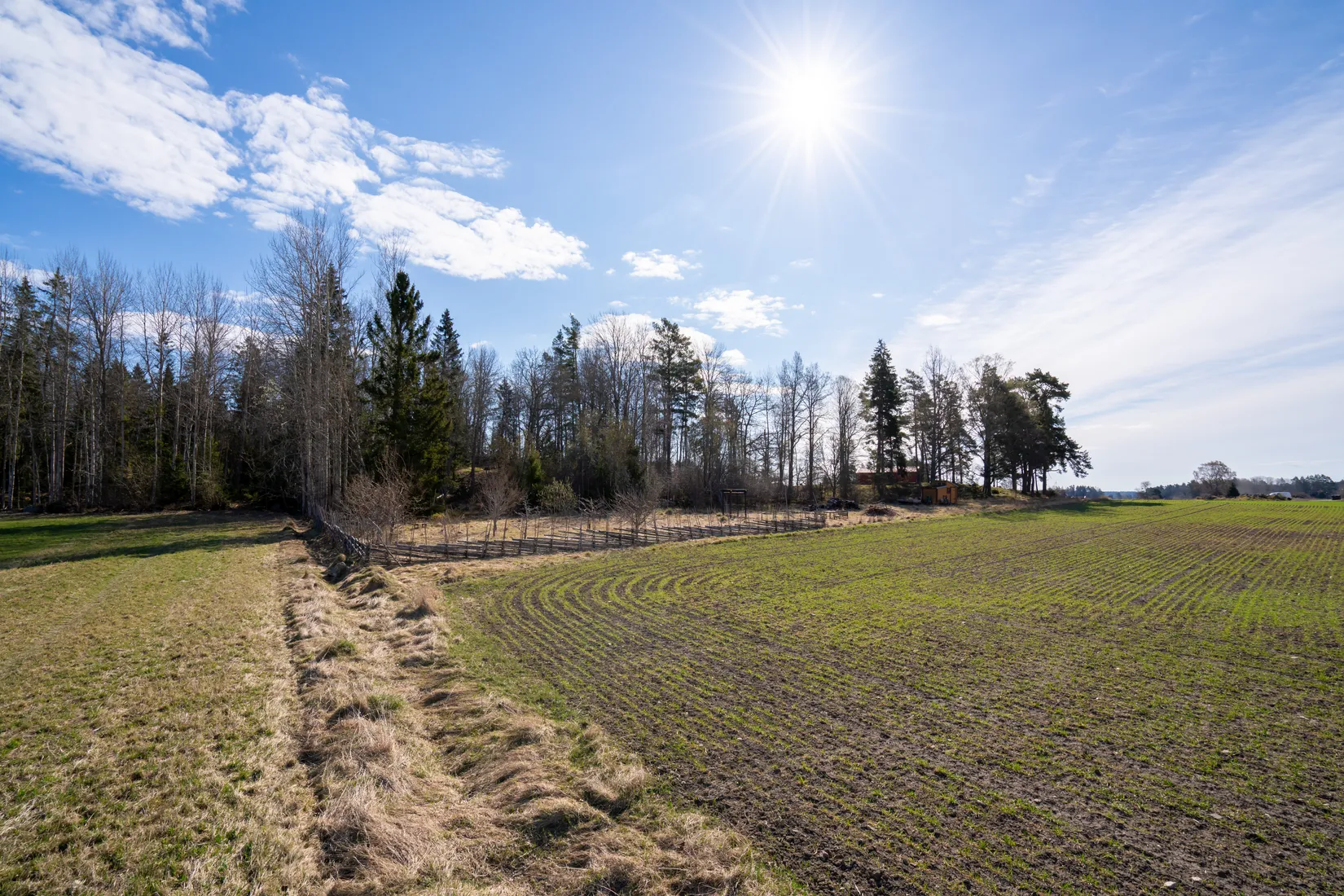 Tomt, Hässle 40, Dalby, Uppsala