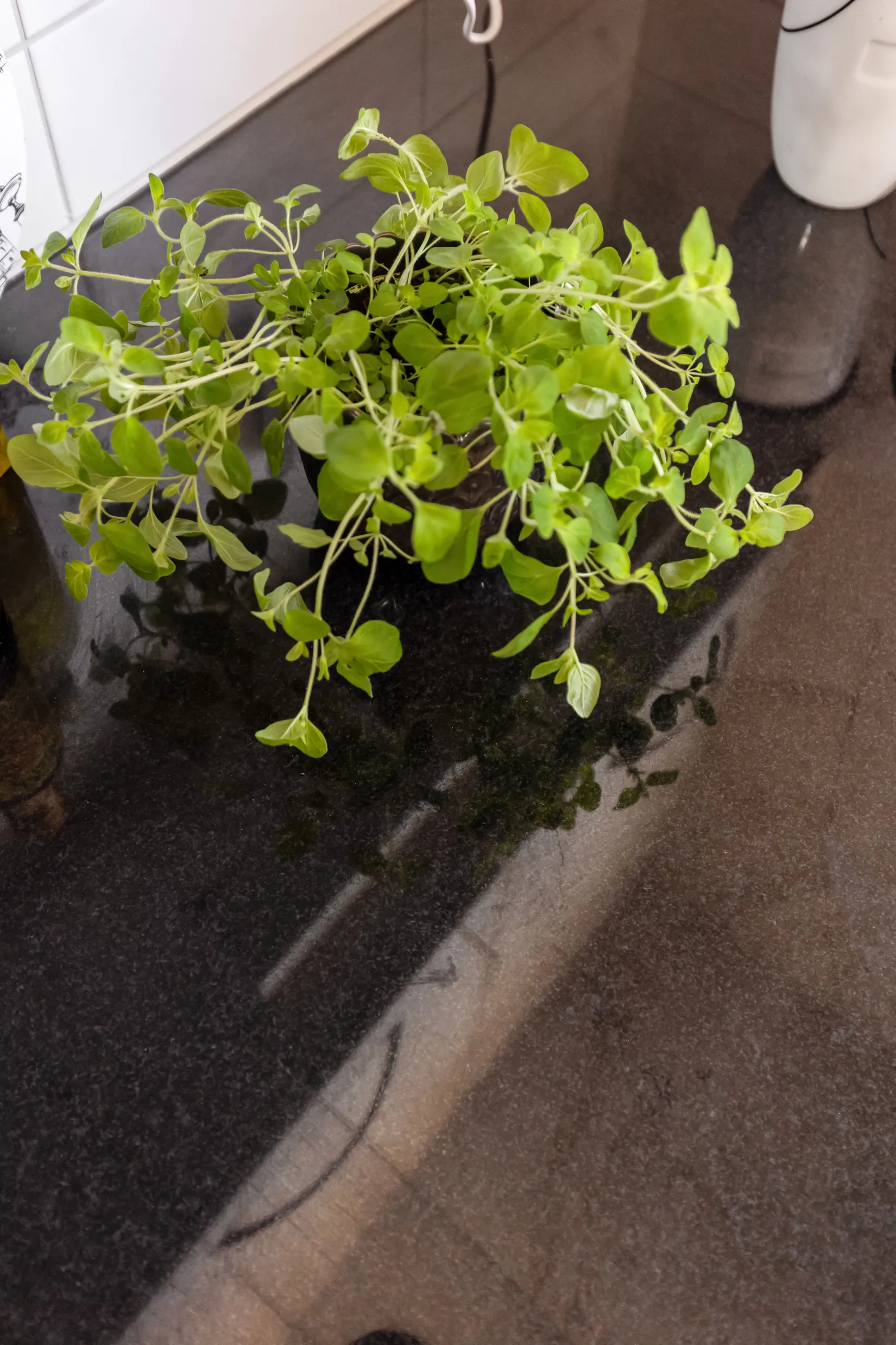 Bostadsrätt, Trollebergsvägen 49B, Väster, Lund