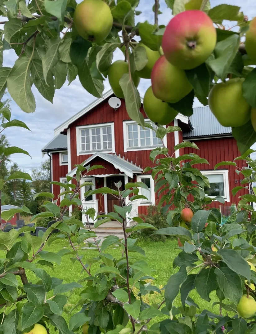 Gård/Skog, Kvitsle 585, Kvitsle, Åre