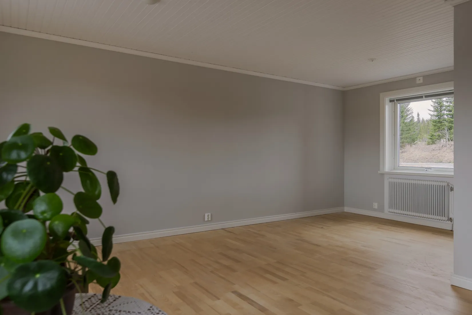 Gård/Skog, Kvitsle 585, Kvitsle, Åre