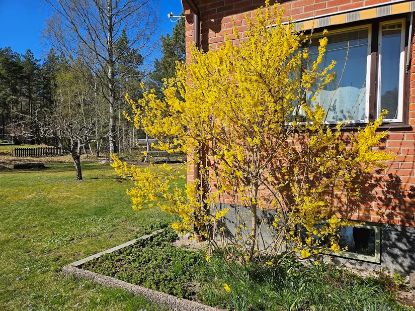 Villa, Tingstuvägen 3, Kjula, Eskilstuna