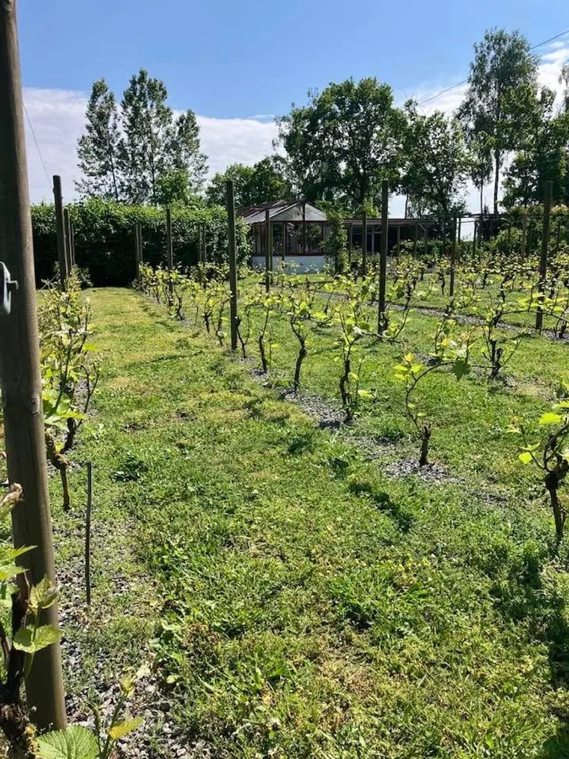 Villa, Gnalövsvägen 16, Gnalöv, Simrishamn