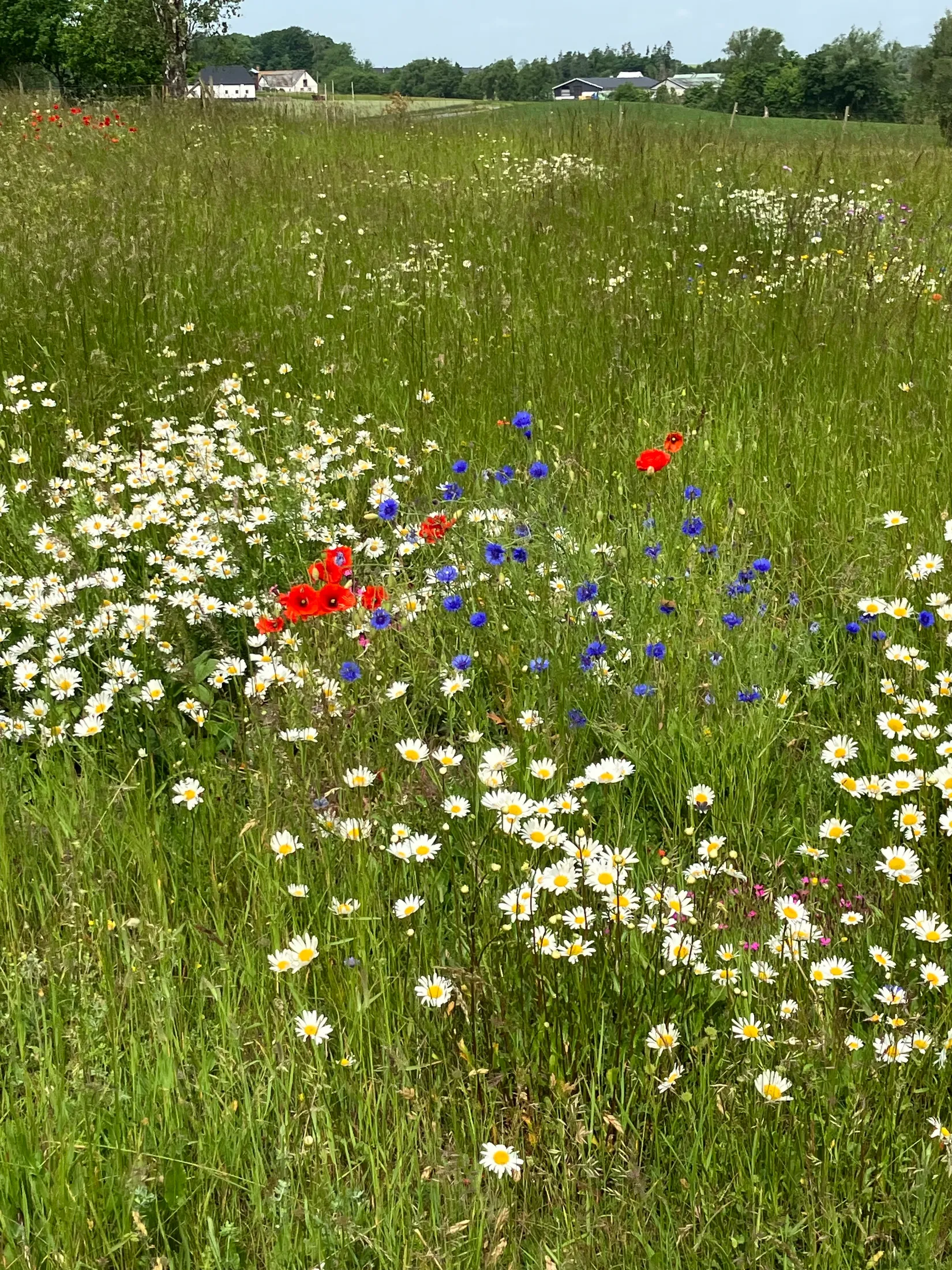 Villa, Gnalövsvägen 16, Gnalöv, Simrishamn