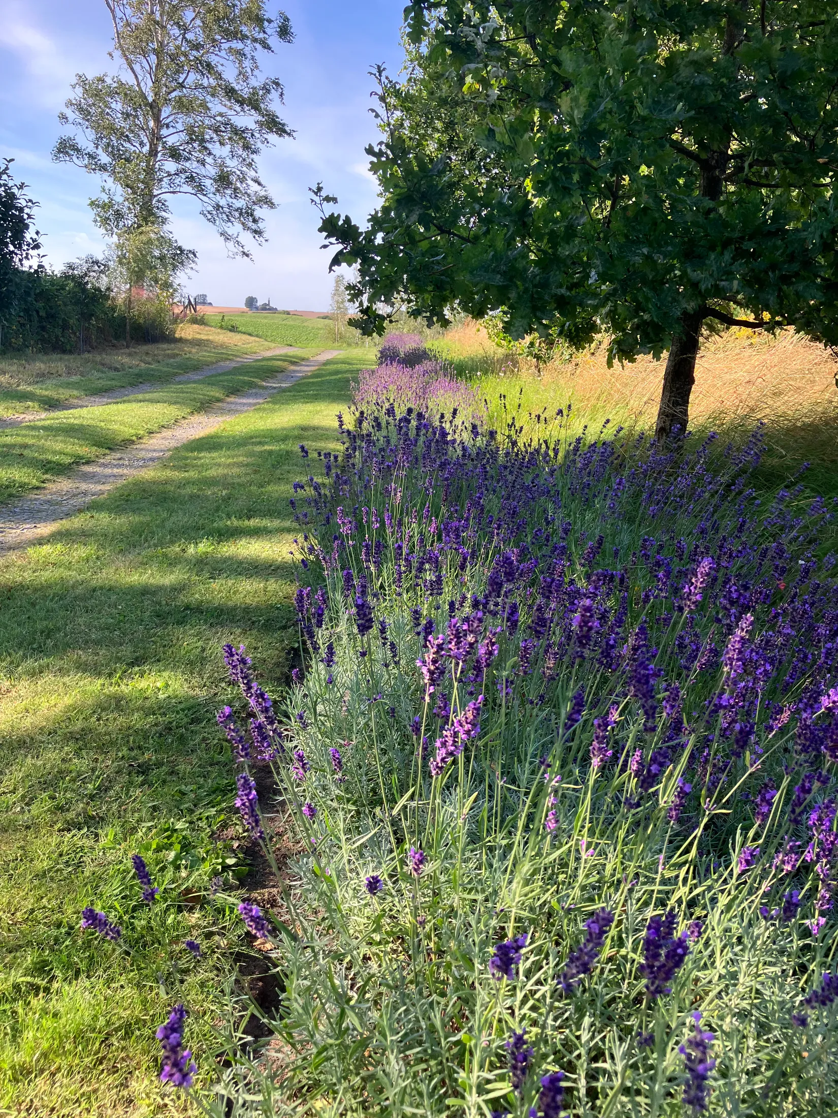Villa, Gnalövsvägen 16, Gnalöv, Simrishamn