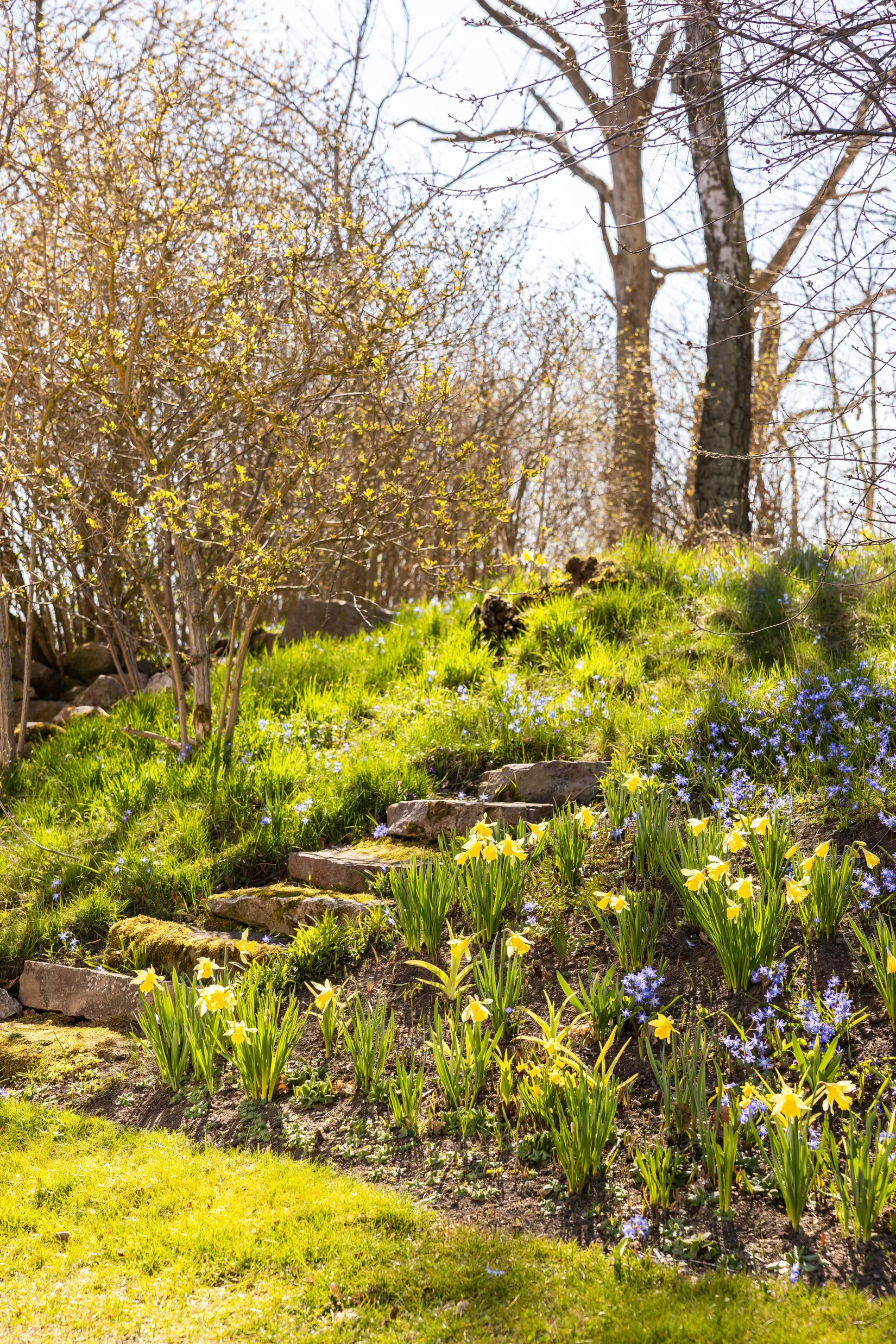 Villa, Gnalövsvägen 16, Gnalöv, Simrishamn