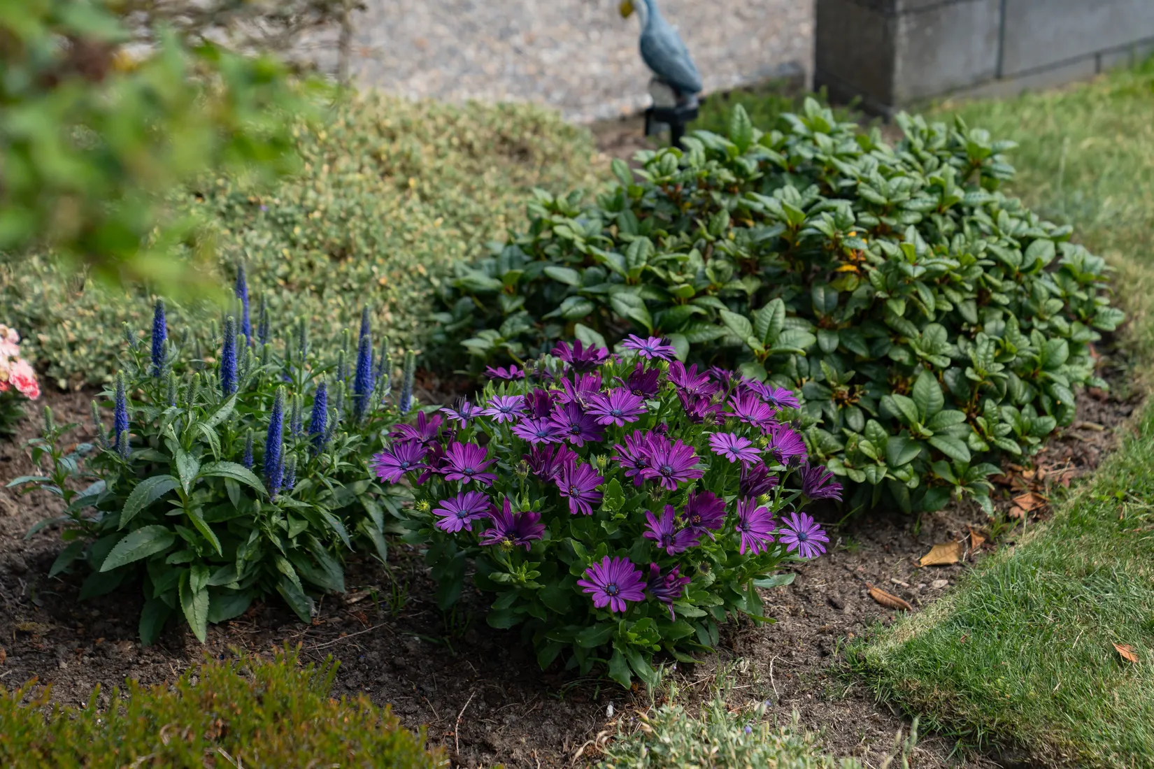 Villa, Backavägen 12, Eslöv