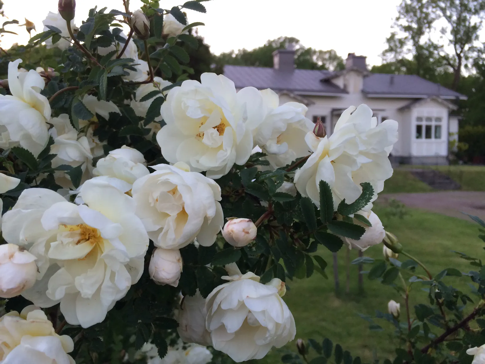 Villa, Verkstadsvägen 11, Centralt, Motala