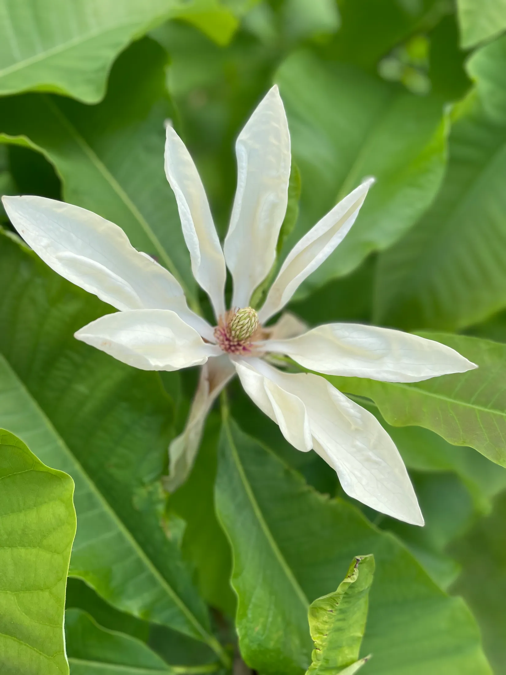 Villa, Verkstadsvägen 11, Centralt, Motala