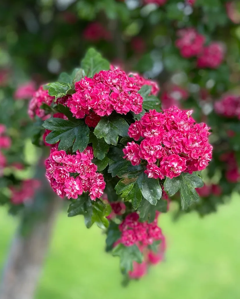 Villa, Verkstadsvägen 11, Centralt, Motala