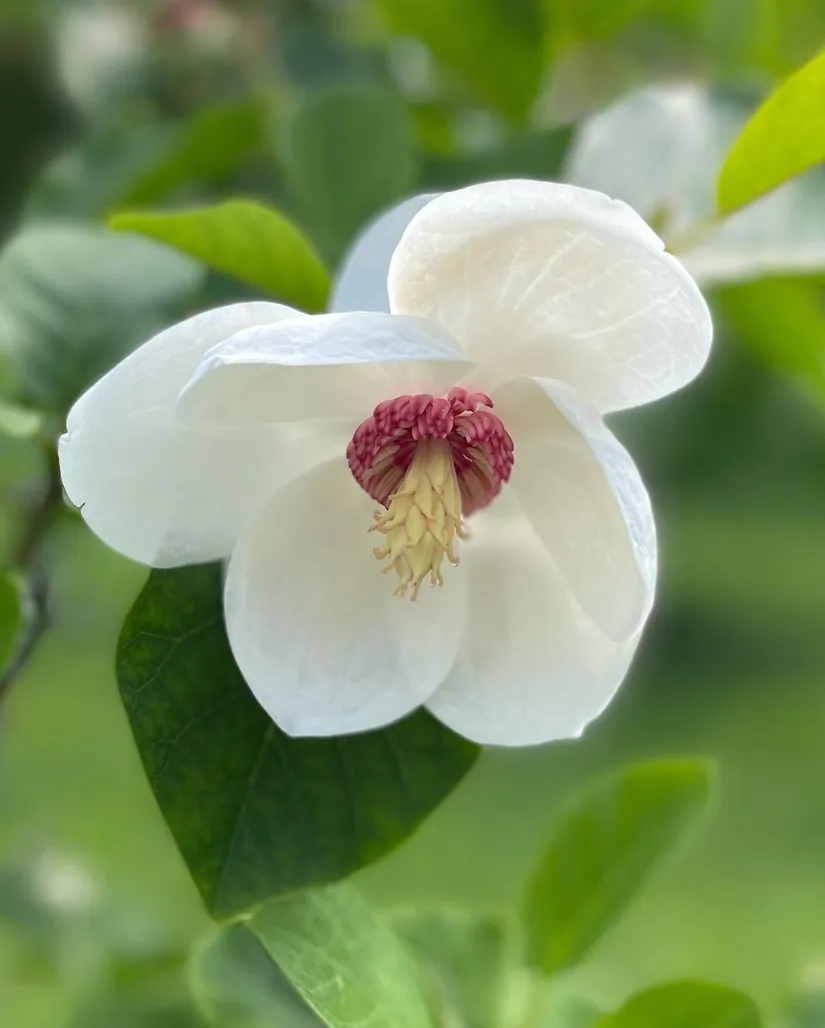 Villa, Verkstadsvägen 11, Centralt, Motala