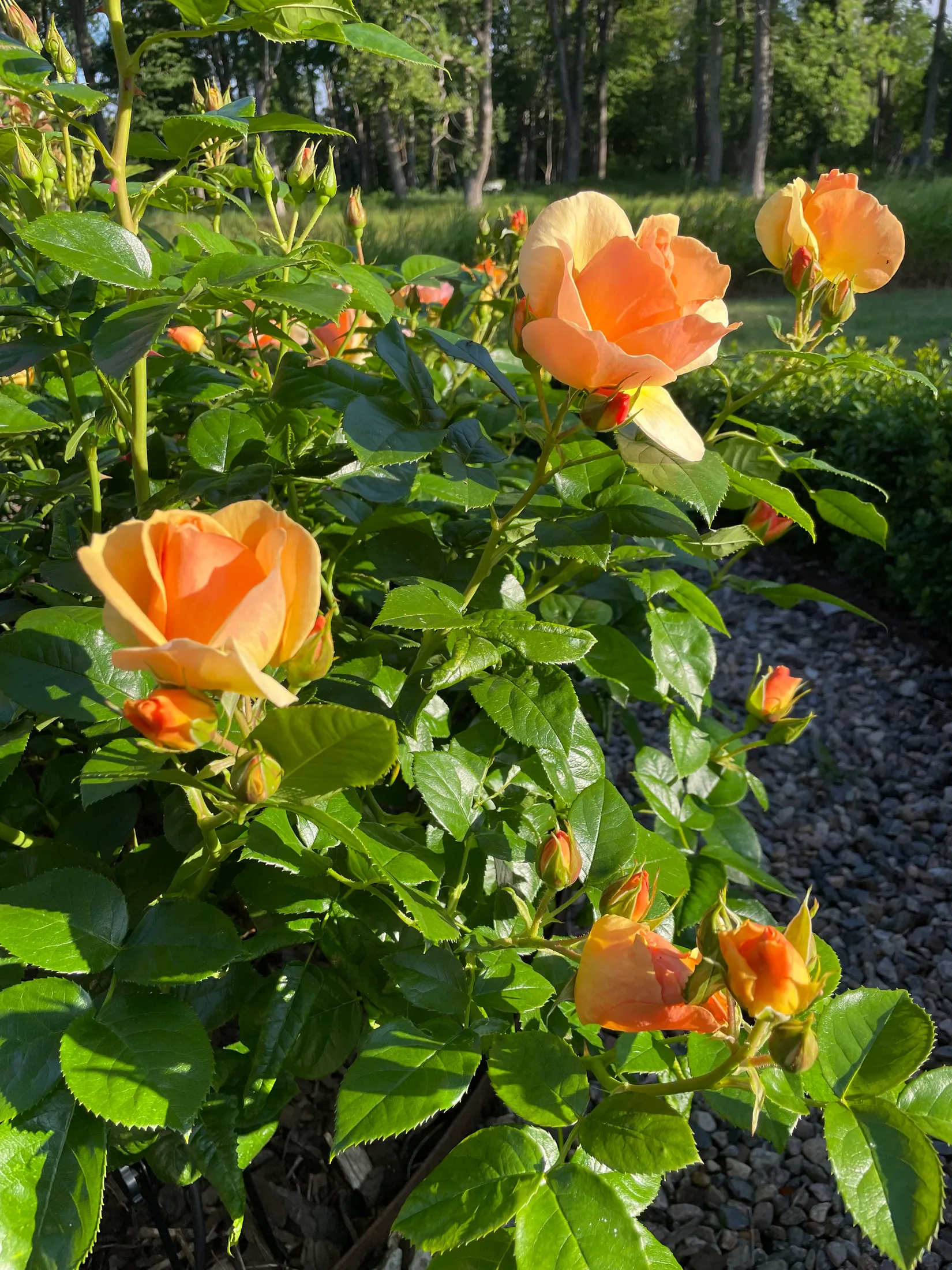 Villa, Verkstadsvägen 11, Centralt, Motala