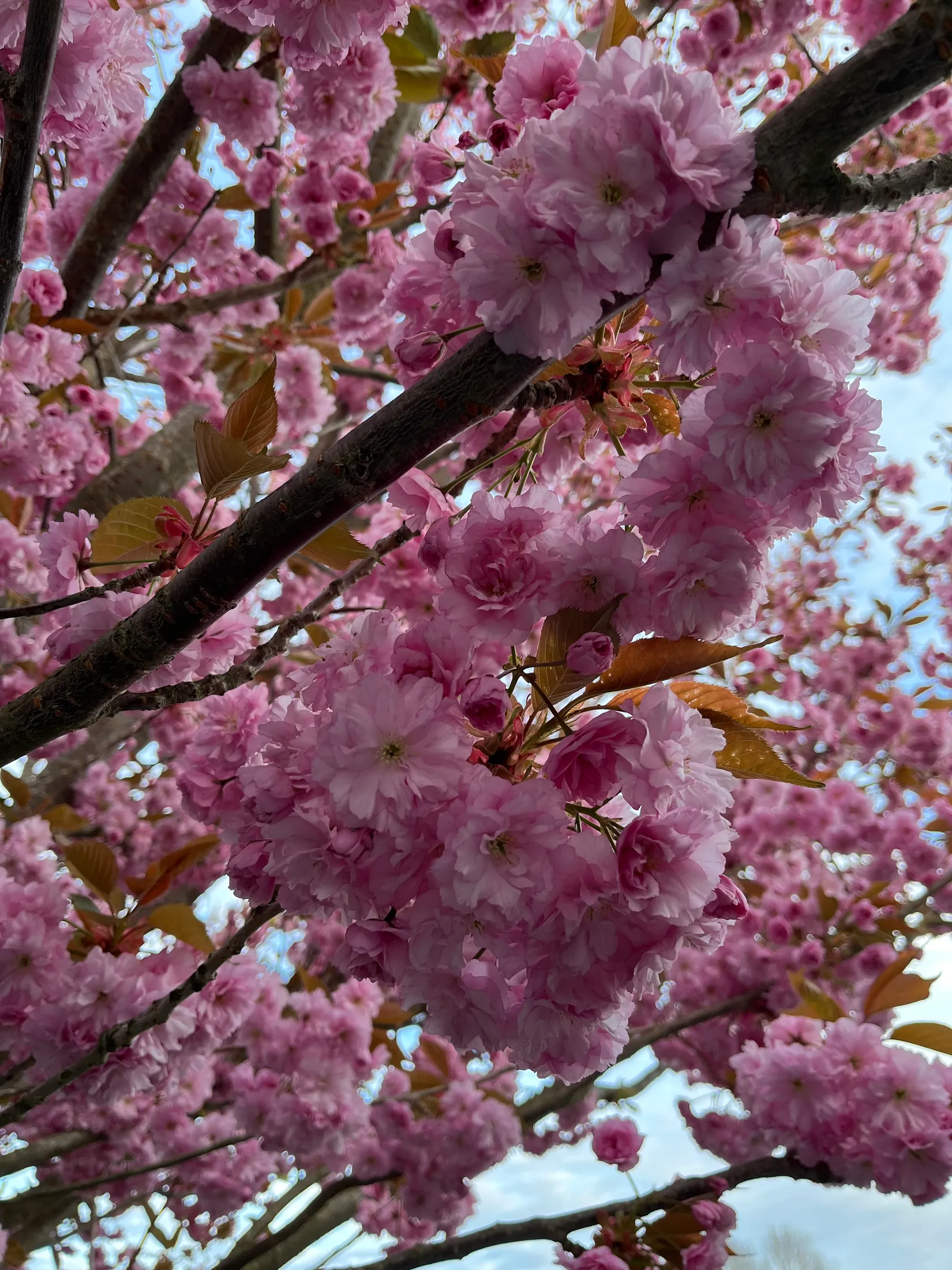 Villa, Verkstadsvägen 11, Centralt, Motala