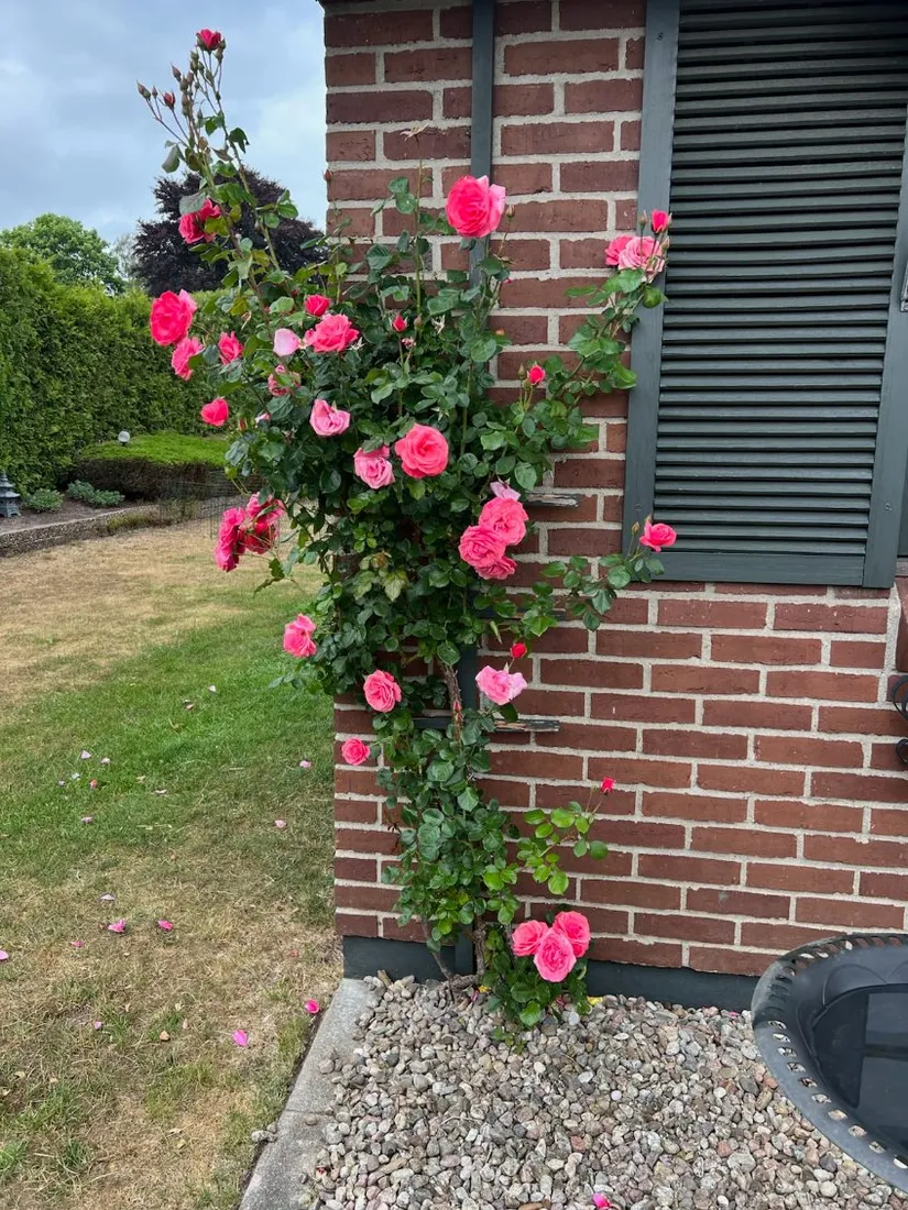 Villa, Plommongränd 1, Centrum, Sjöbo