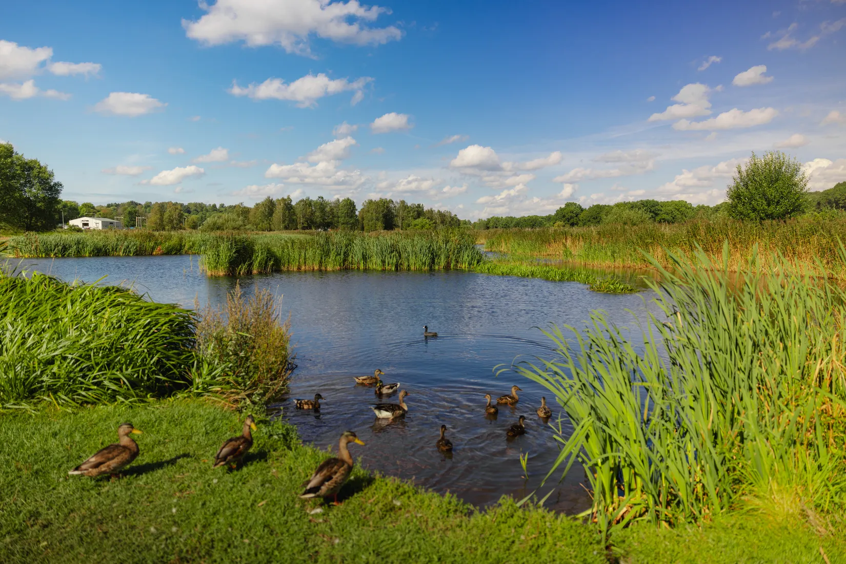 Bostadsrätt, Lillekärr södra 208, Hisings Kärra, Göteborg