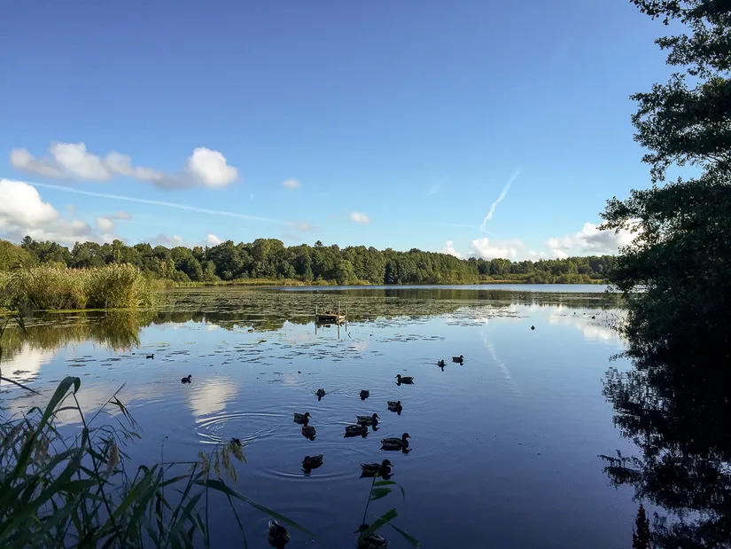 Bostadsrätt, Råsundavägen 63, 2 tr, Råsunda, Solna