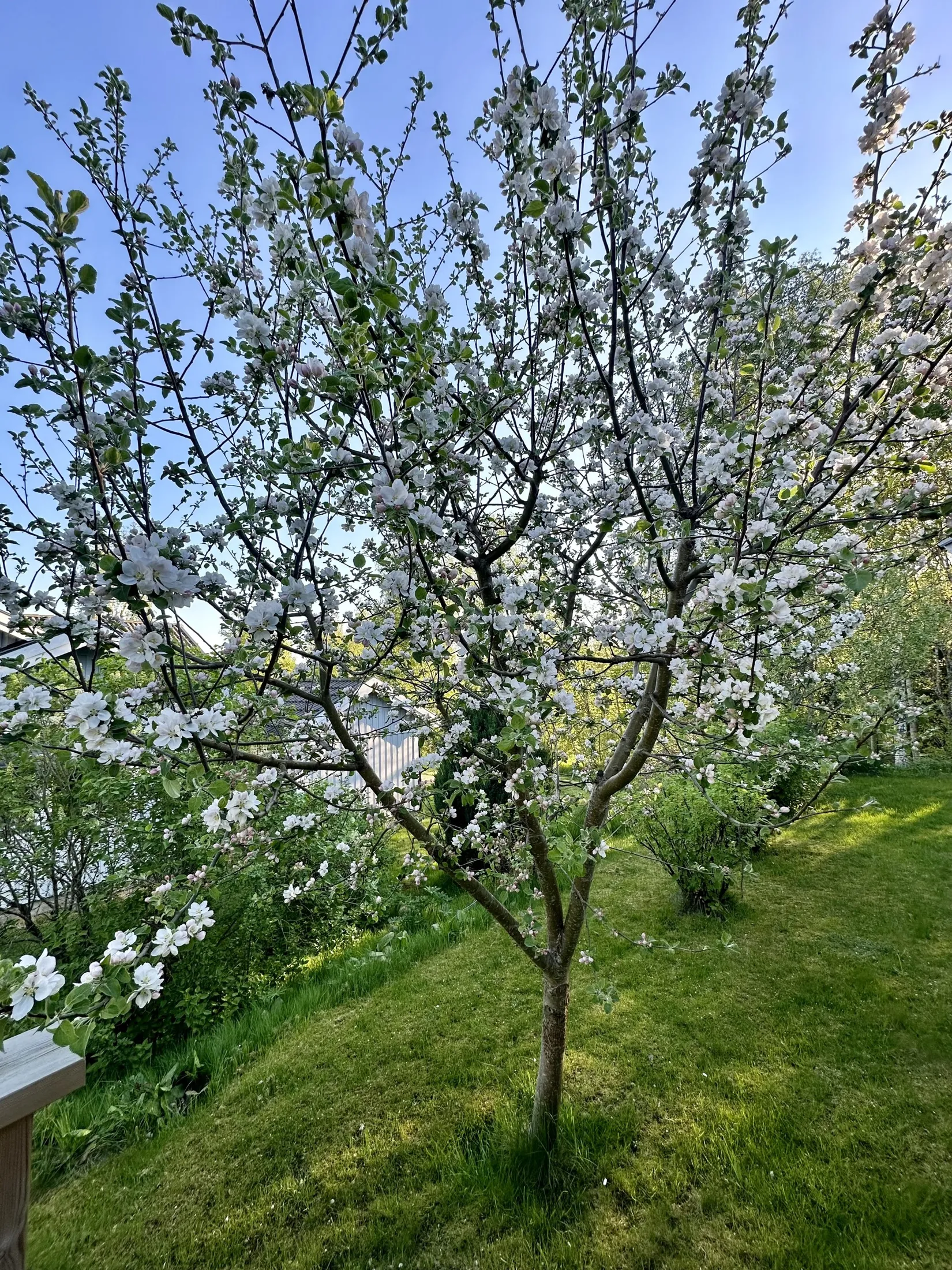 Villa, Färlevfjordsvägen 17, Torreby, Munkedal