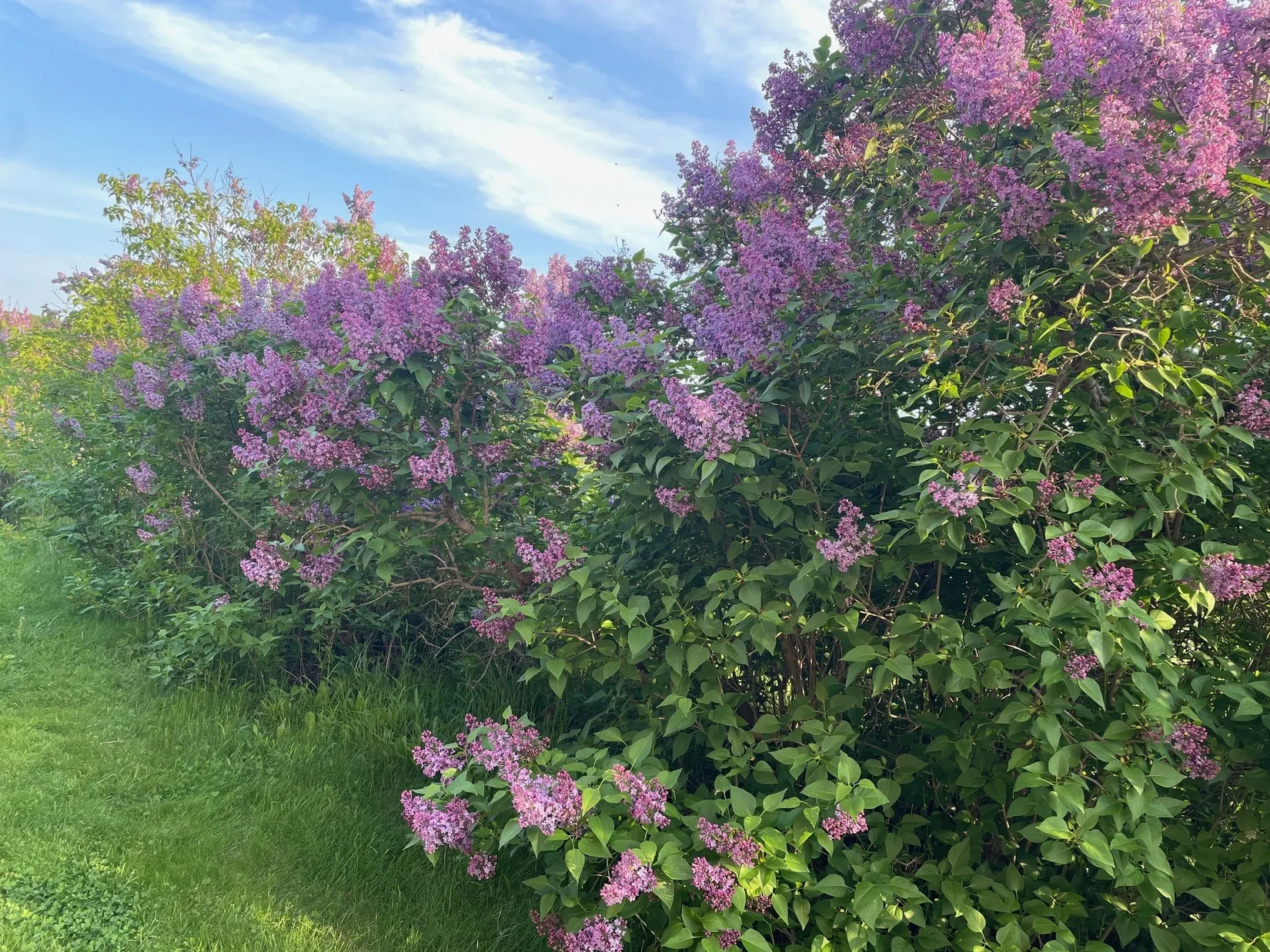 Villa, By 235, Häggdånger, Härnösand