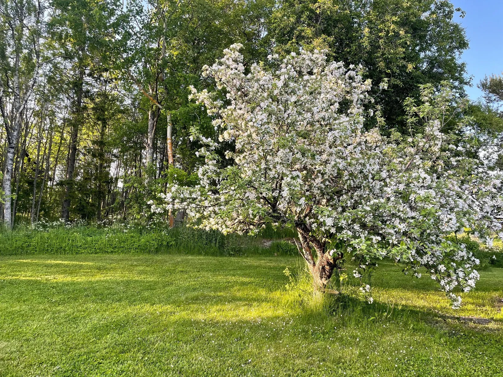 Villa, By 235, Häggdånger, Härnösand