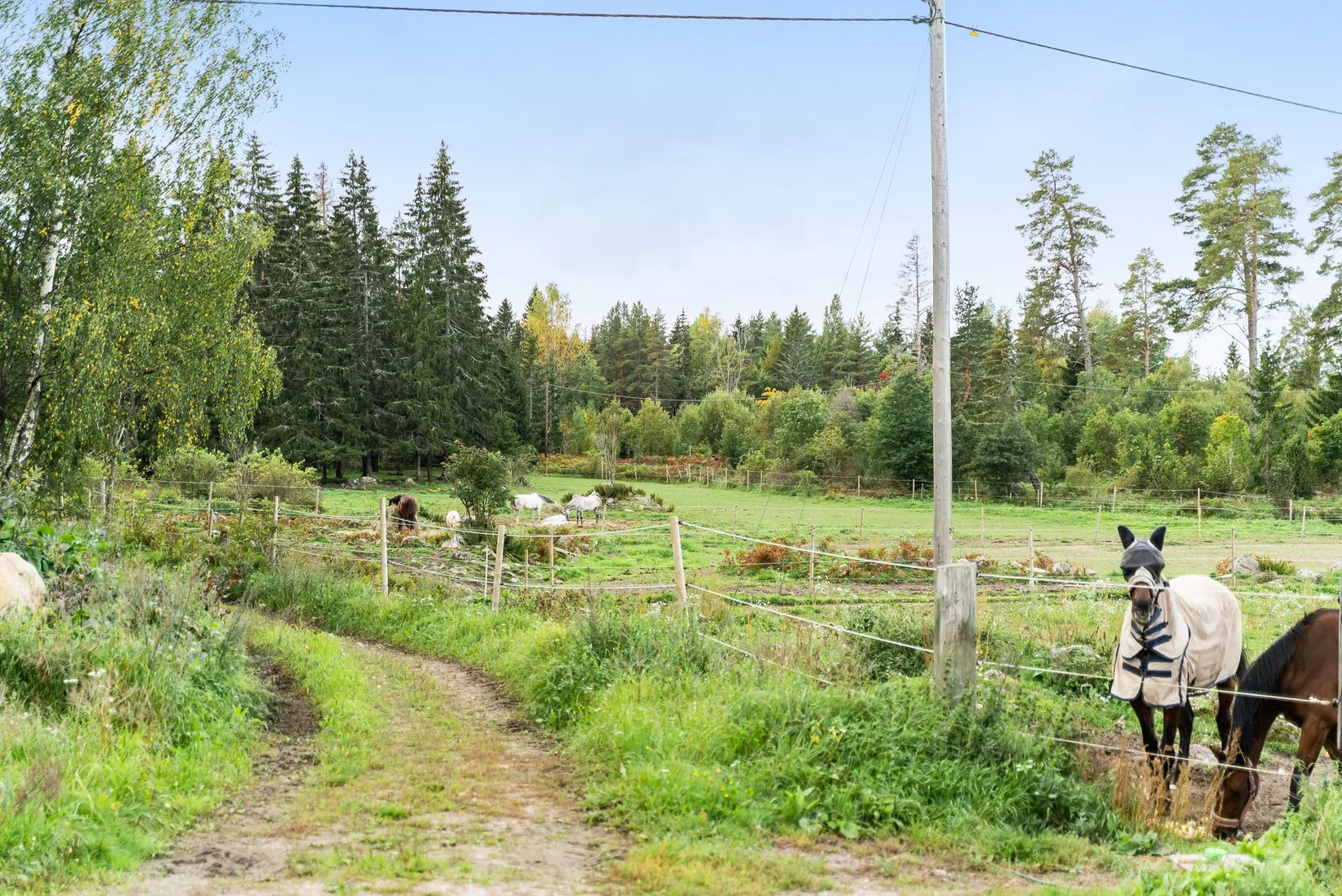 Villa, Fagervallen 123, Västland, Tierp
