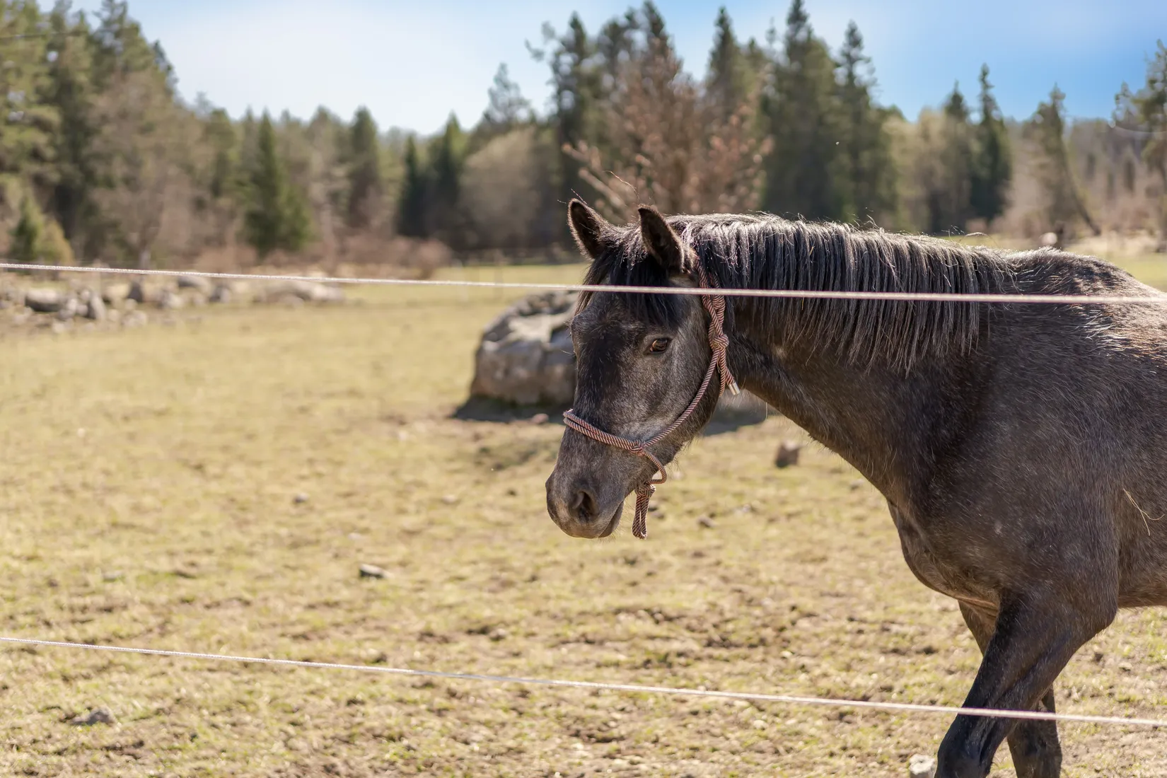Villa, Fagervallen 123, Västland, Tierp