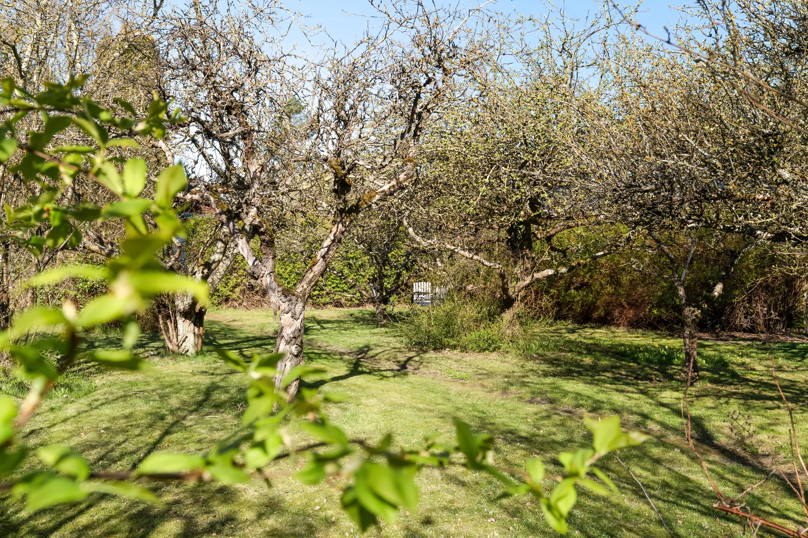 Villa, Tranbogatan 3, Virentofta, Malmö