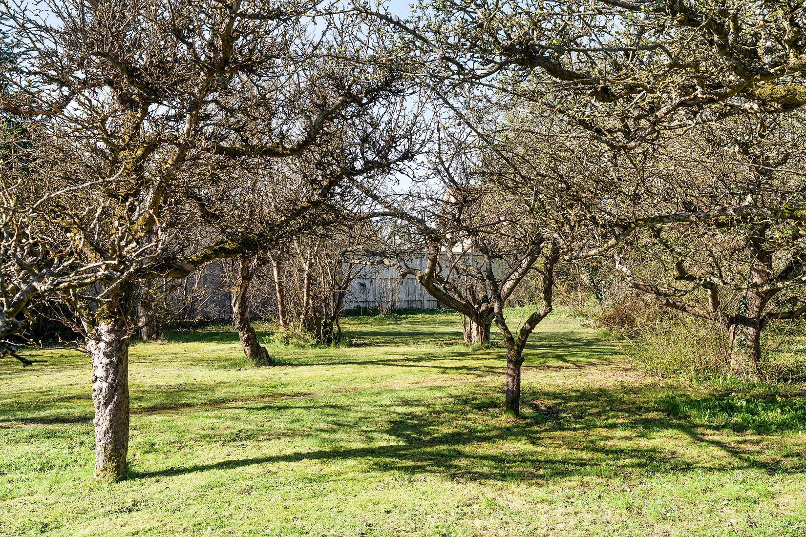 Villa, Tranbogatan 3, Virentofta, Malmö