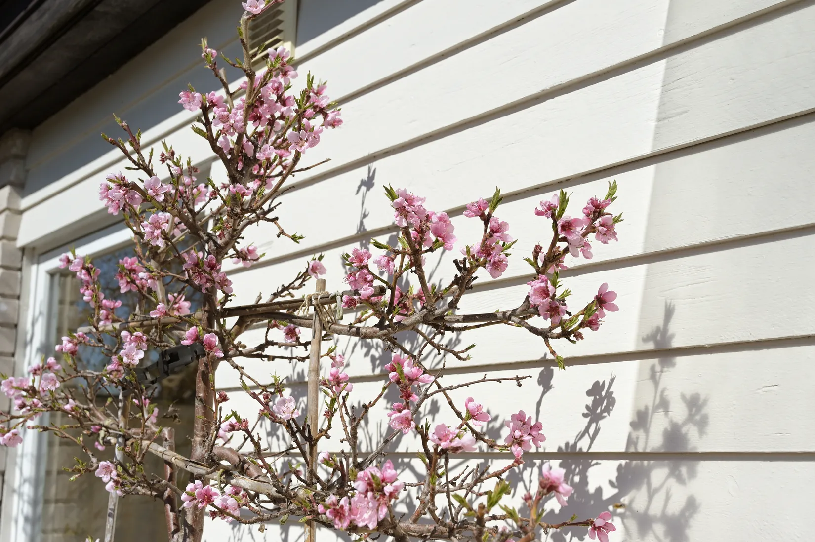 Villa, Radhus, Kastargränd 16, Ekerö Hummelvreten, Ekerö