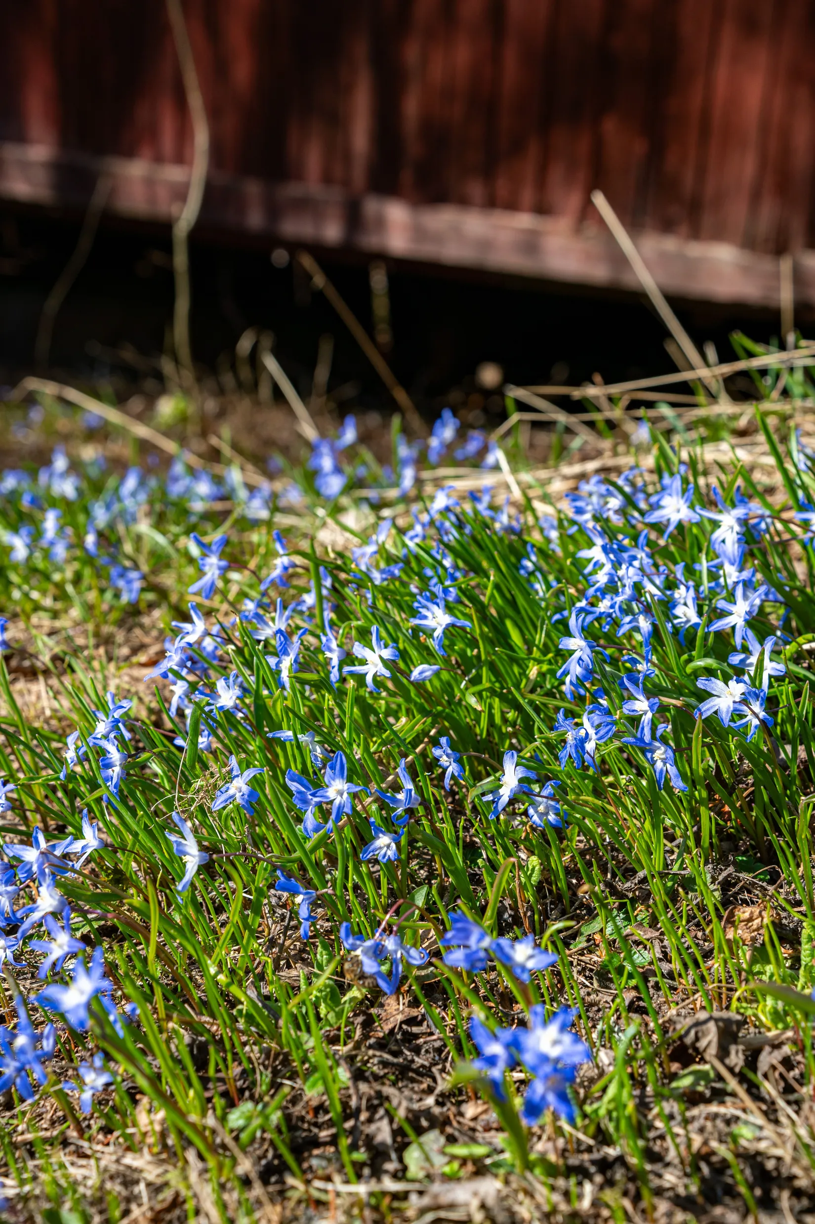Fritidshus, Orsten 731, Trönö, Söderhamn