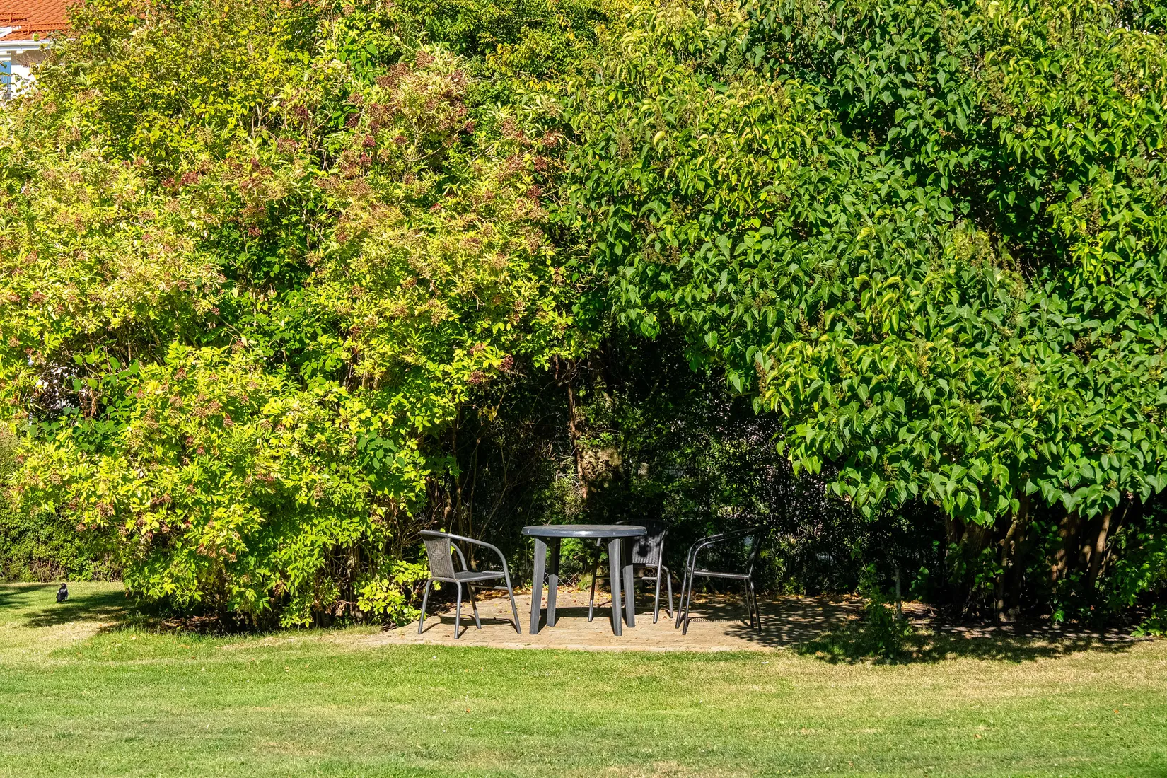 Bostadsrätt, Ribevägen 10 C, Dammfri, Malmö