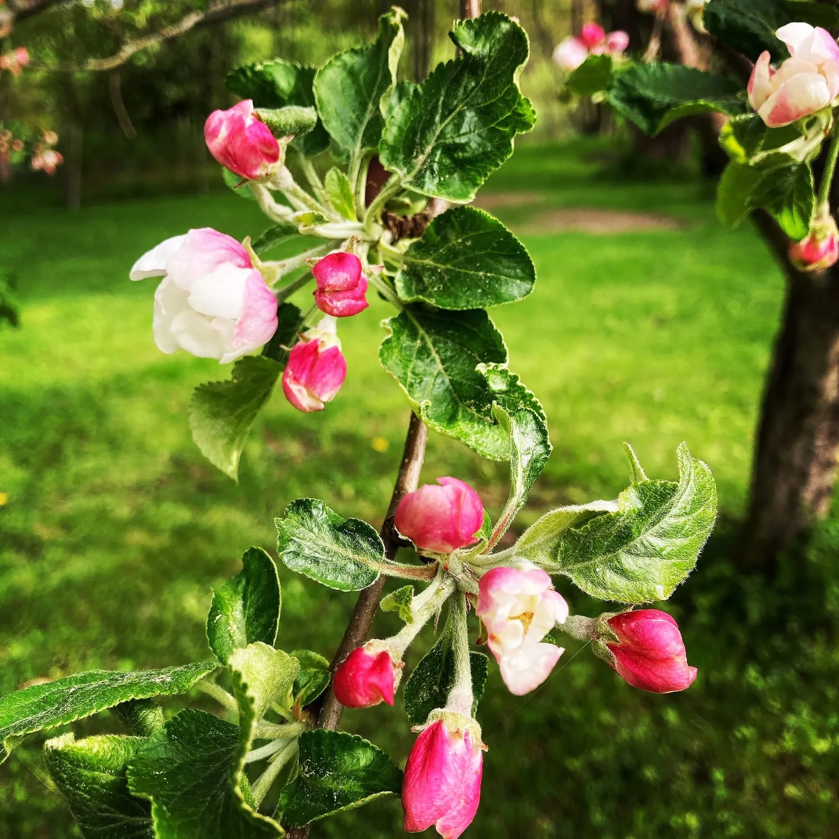 Fritidshus, Ängsstigen 1, Björktorp, Strängnäs
